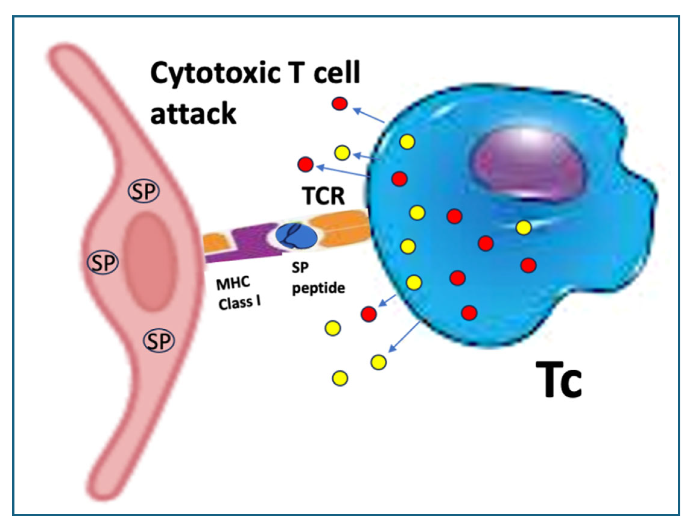 Preprints 161333 g005