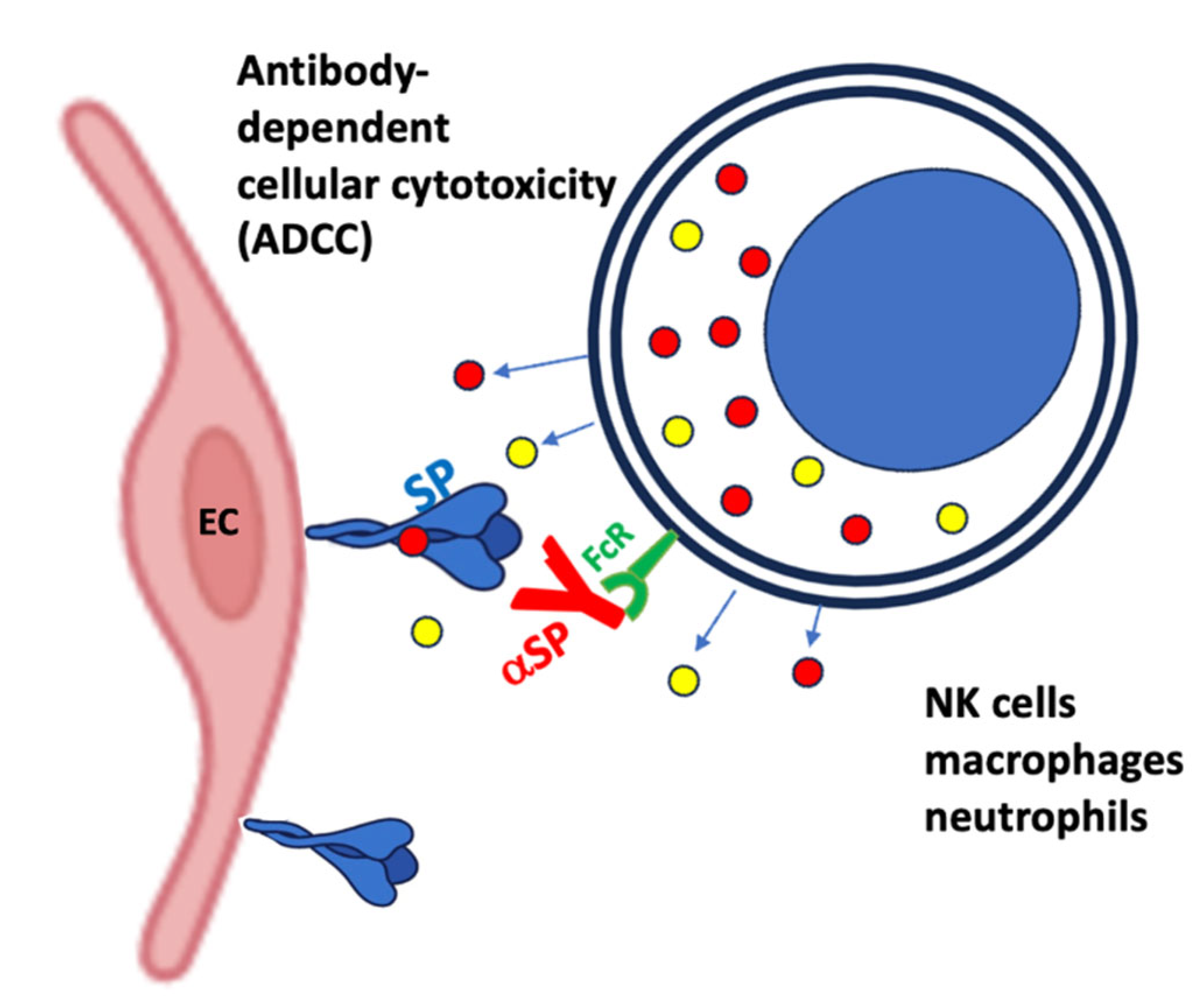 Preprints 161333 g007