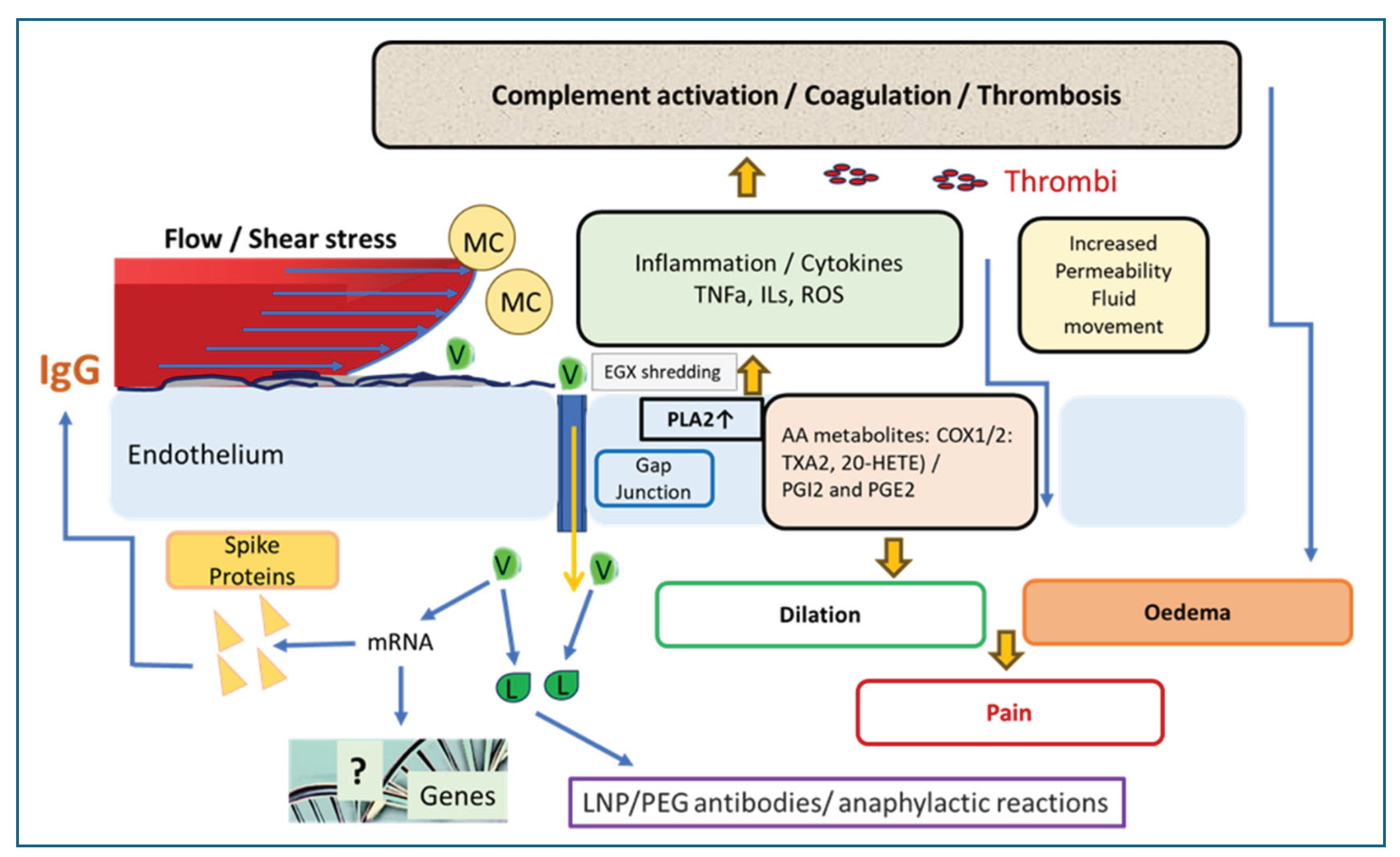 Preprints 161333 g008
