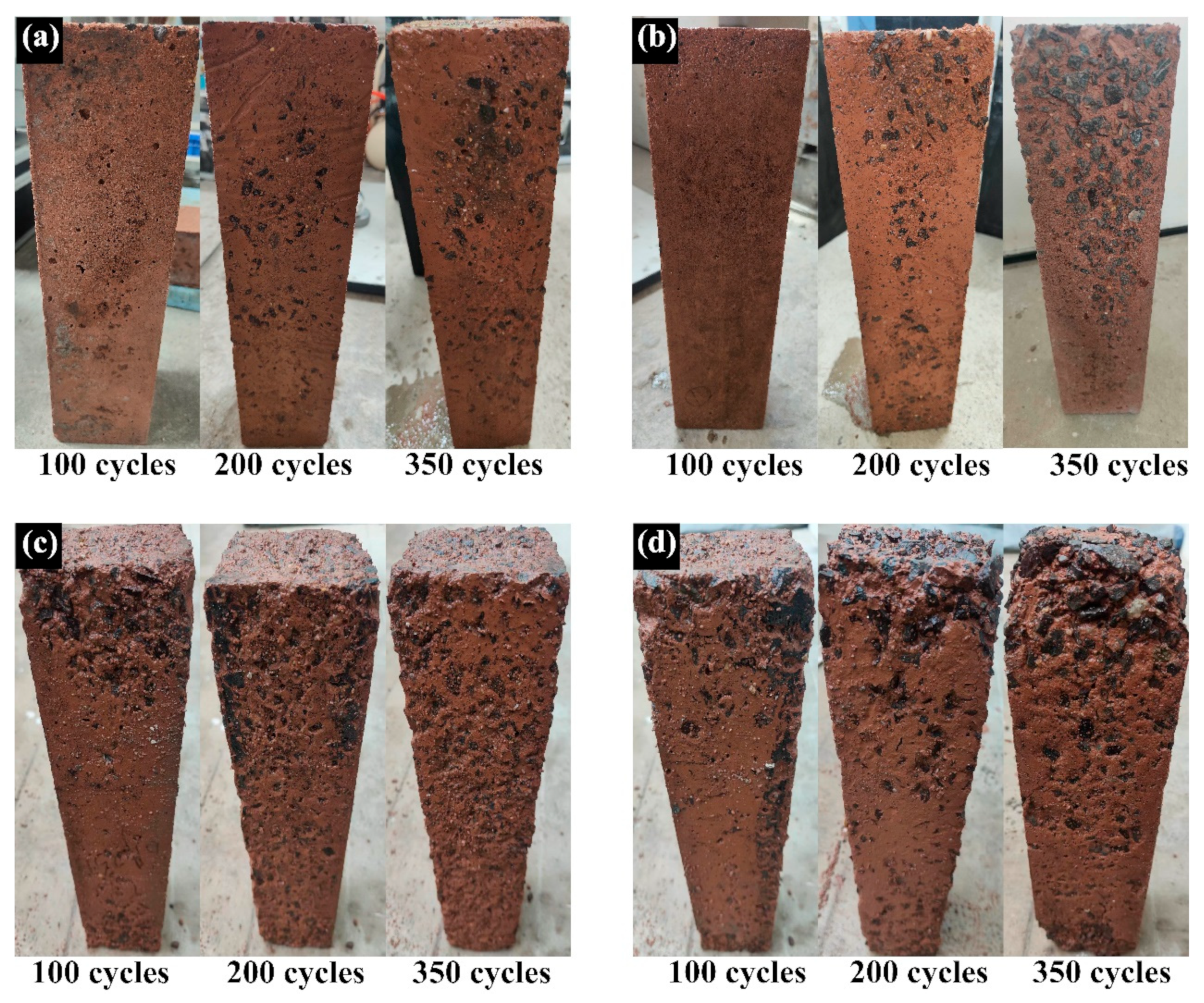 Preprints 102793 g004