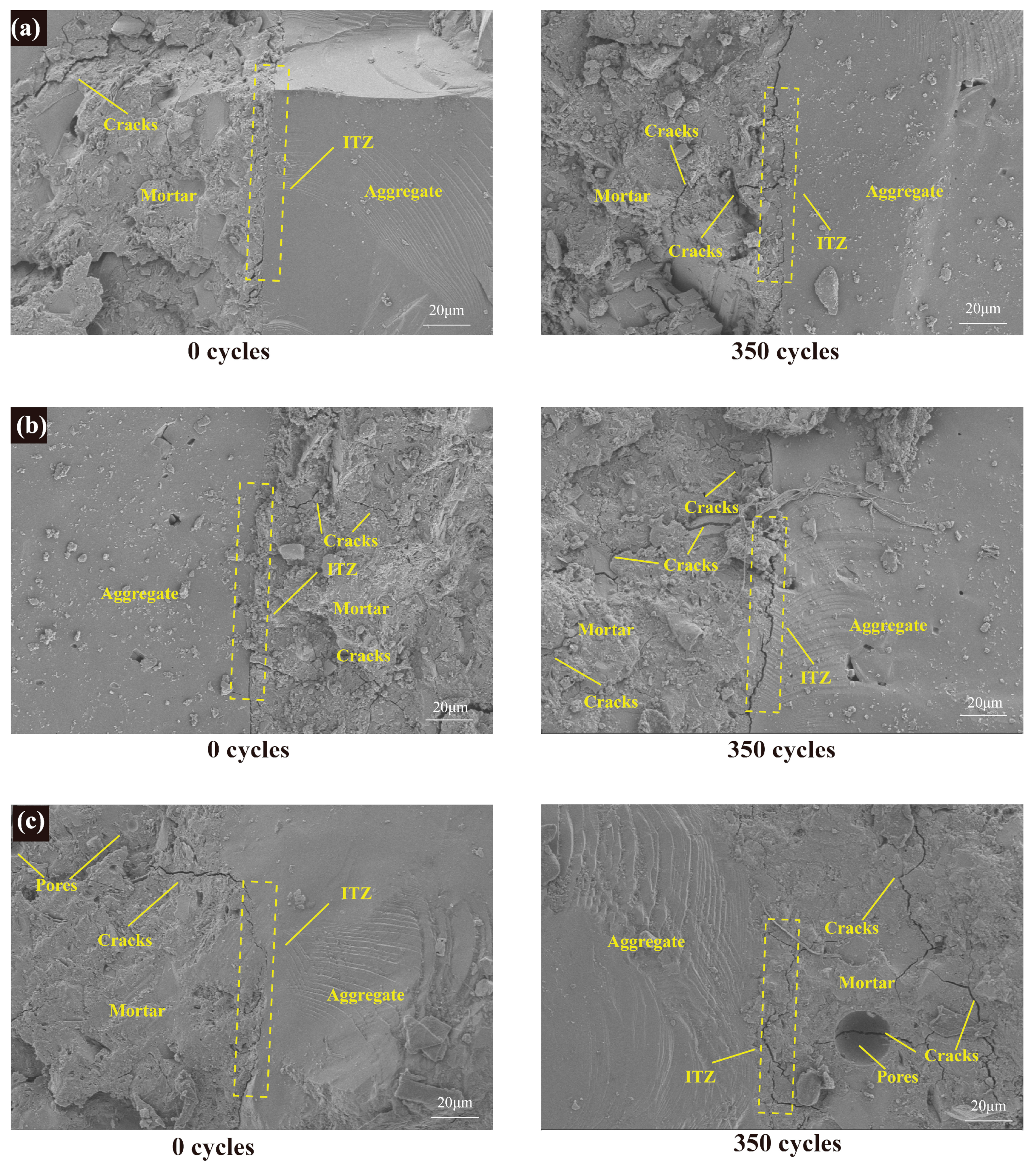 Preprints 102793 g006