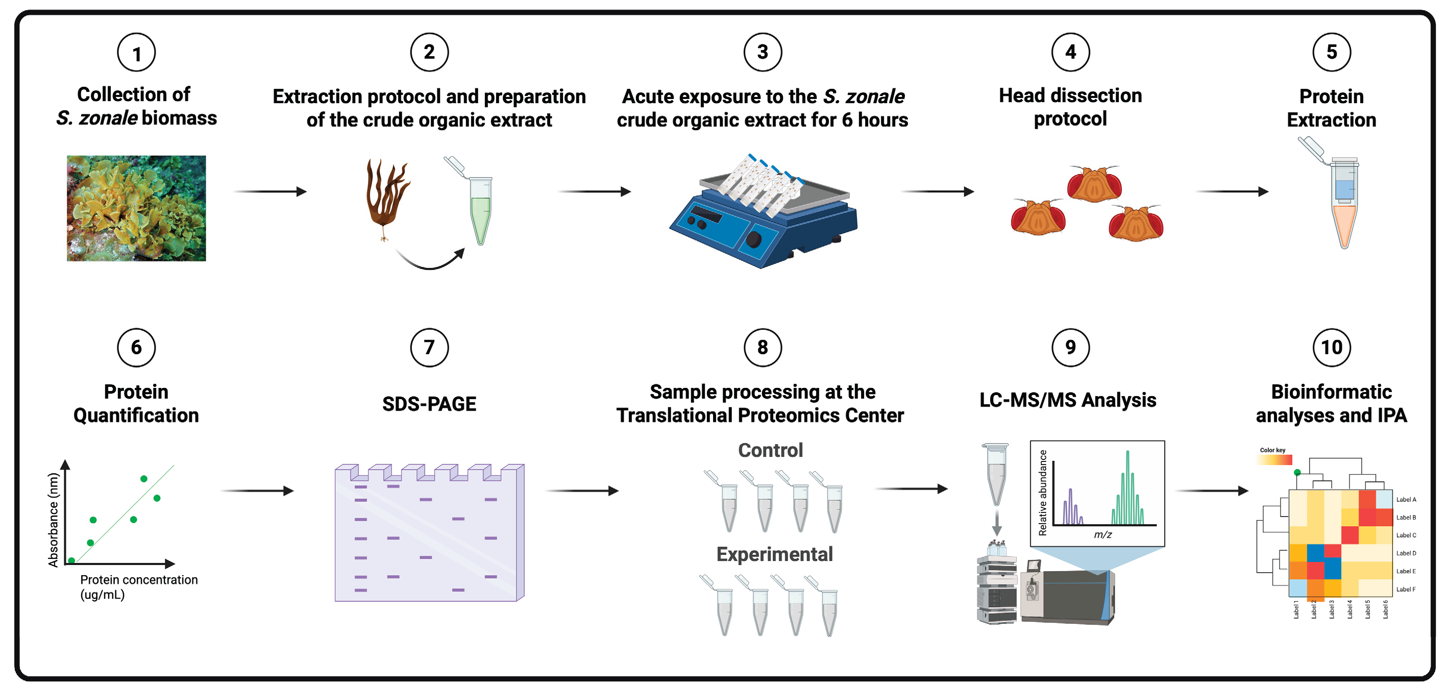 Preprints 195671 g006
