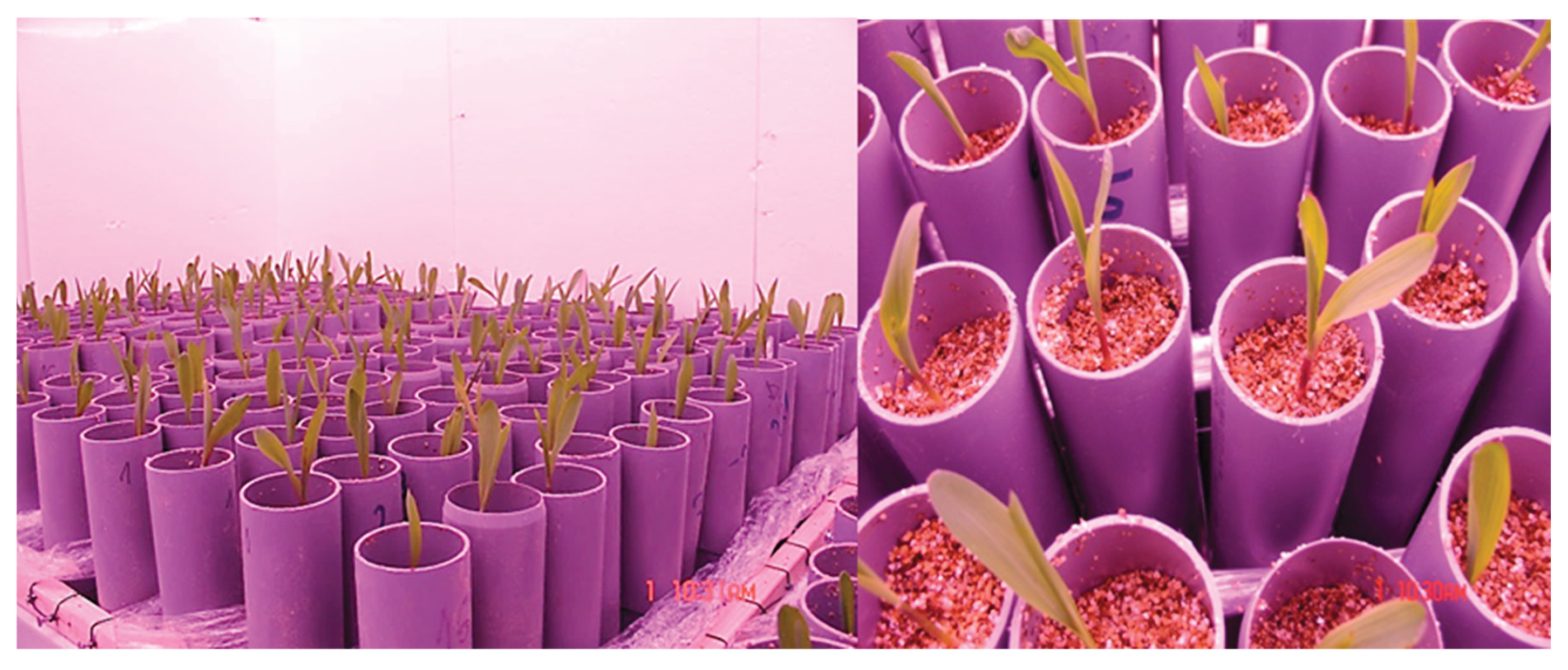 Preprints 179963 g001