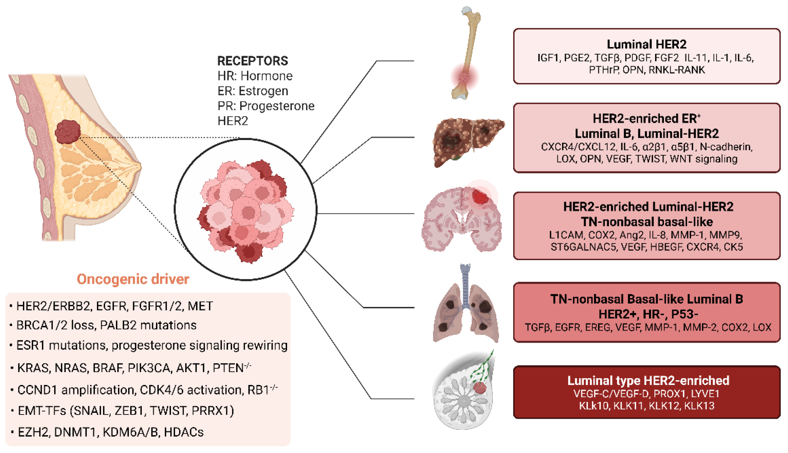 Preprints 187387 g004