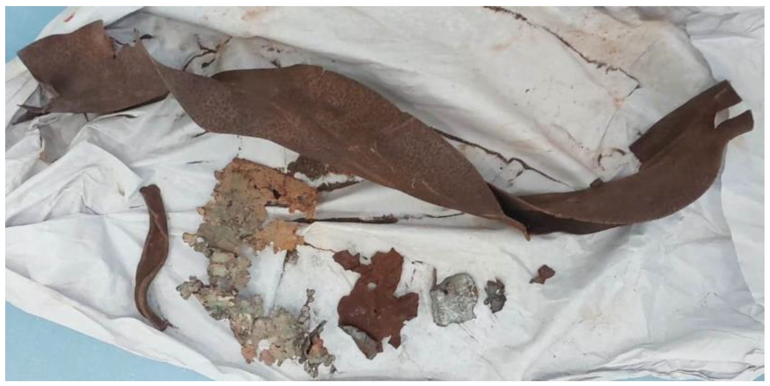 Preprints 175509 g001