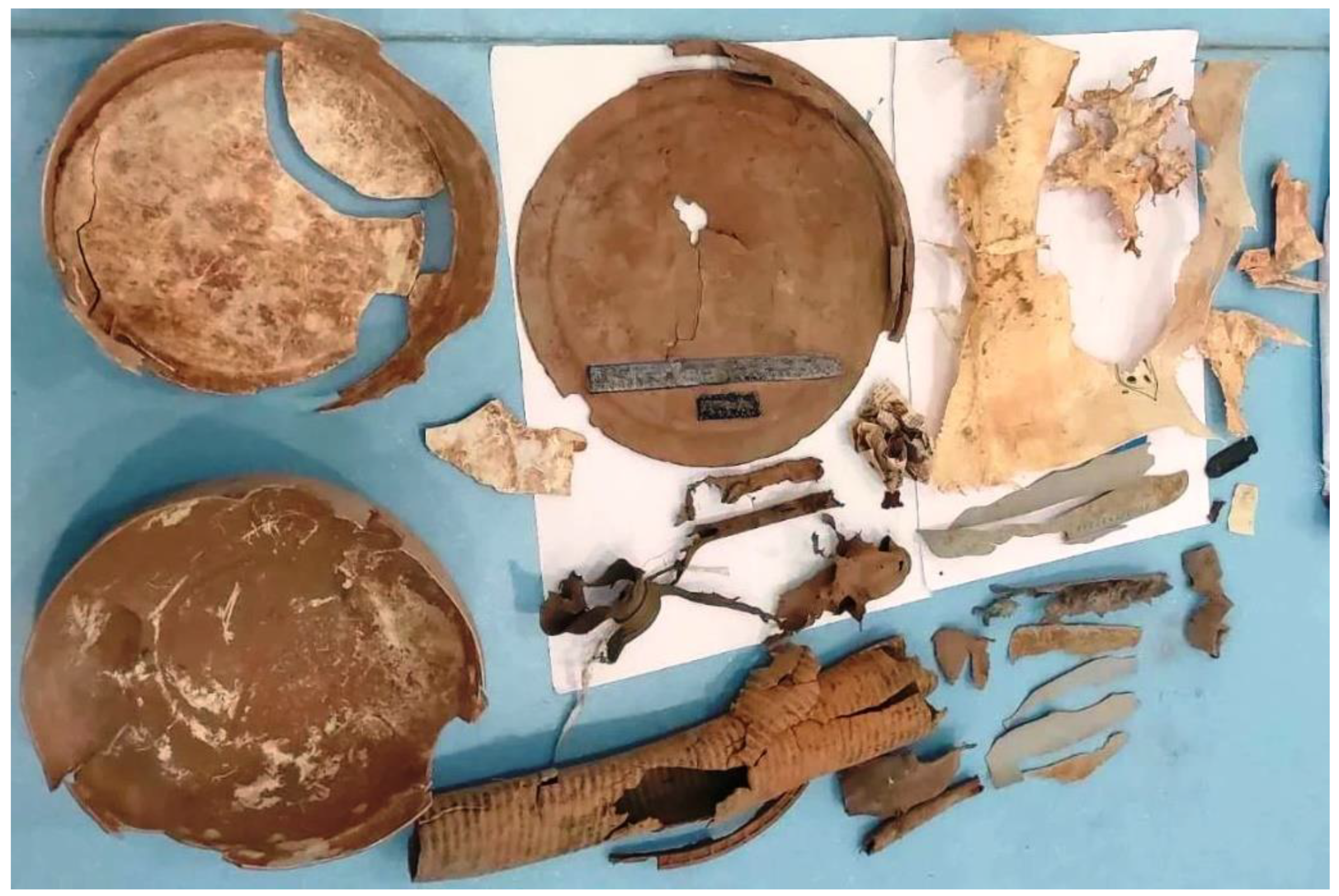 Preprints 175509 g002