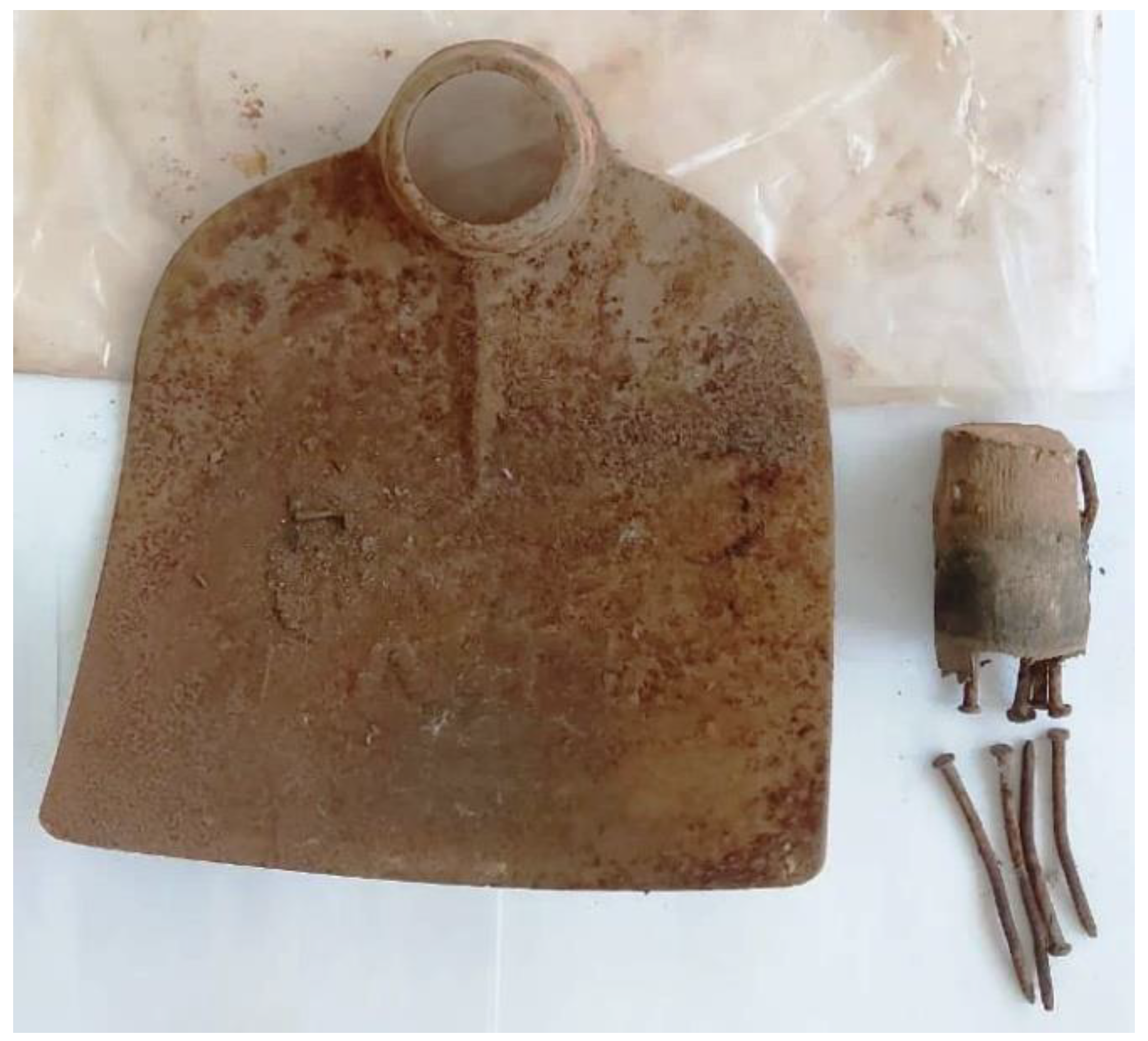 Preprints 175509 g004