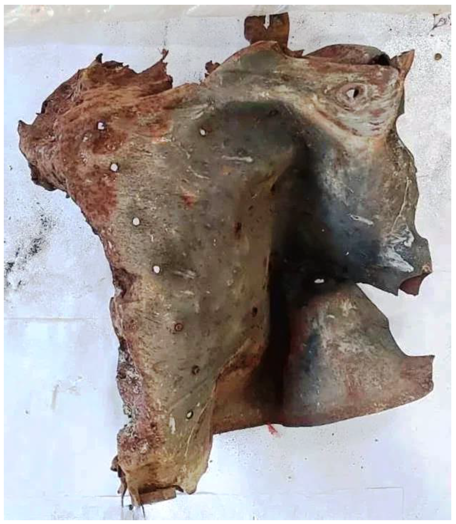 Preprints 175509 g006