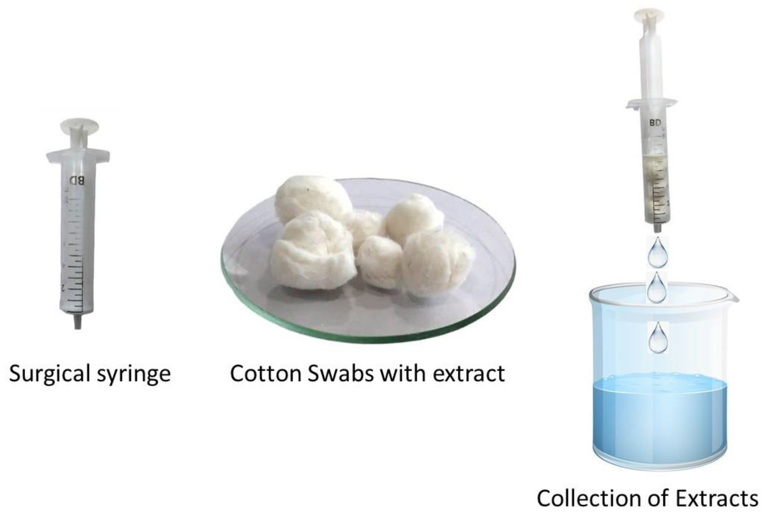 Preprints 175509 g007