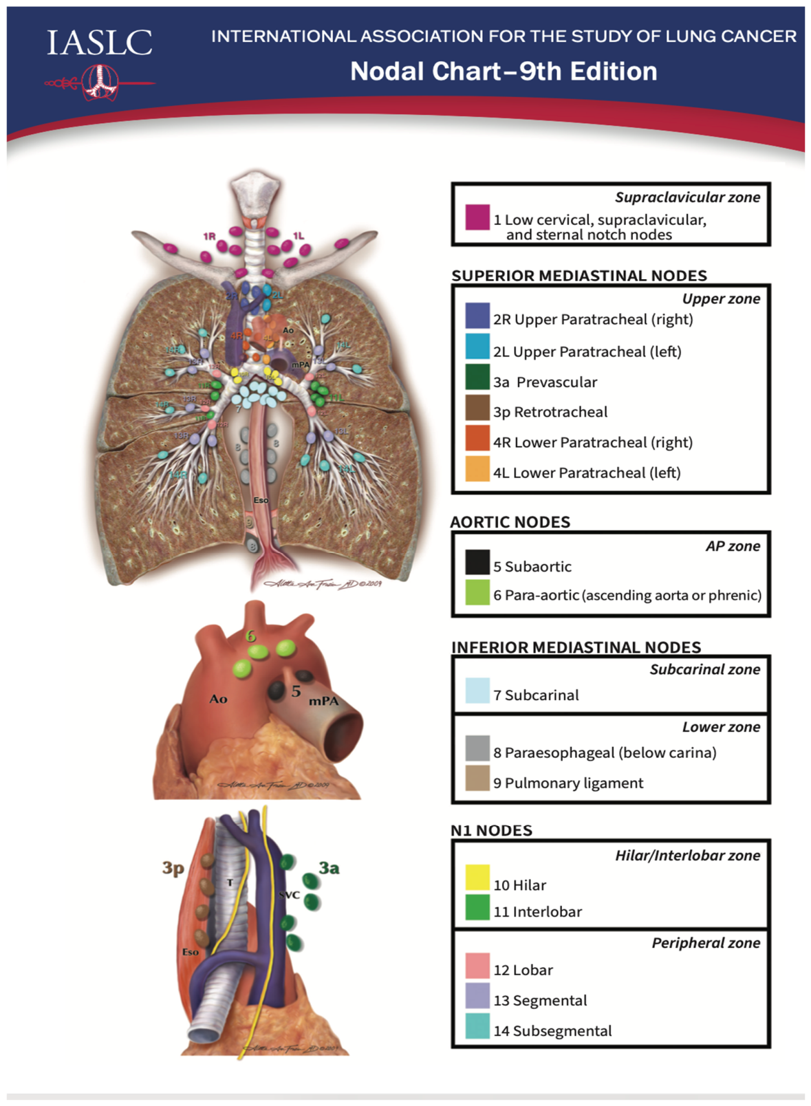 Preprints 204309 g001