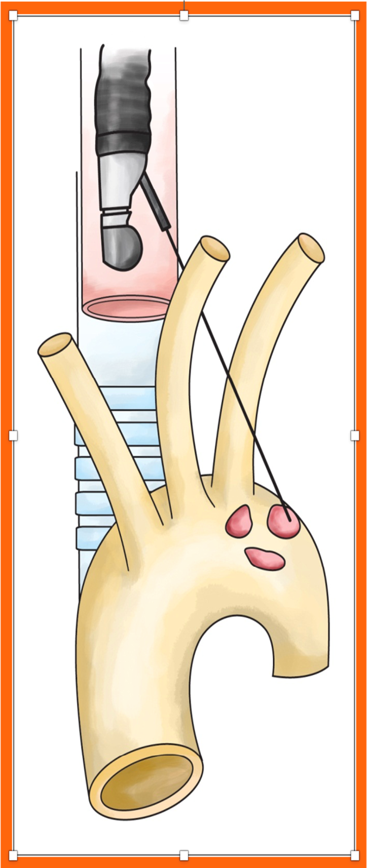 Preprints 204309 g002