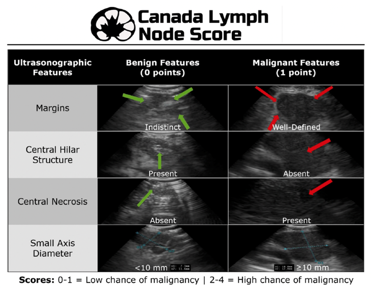 Preprints 204309 g003