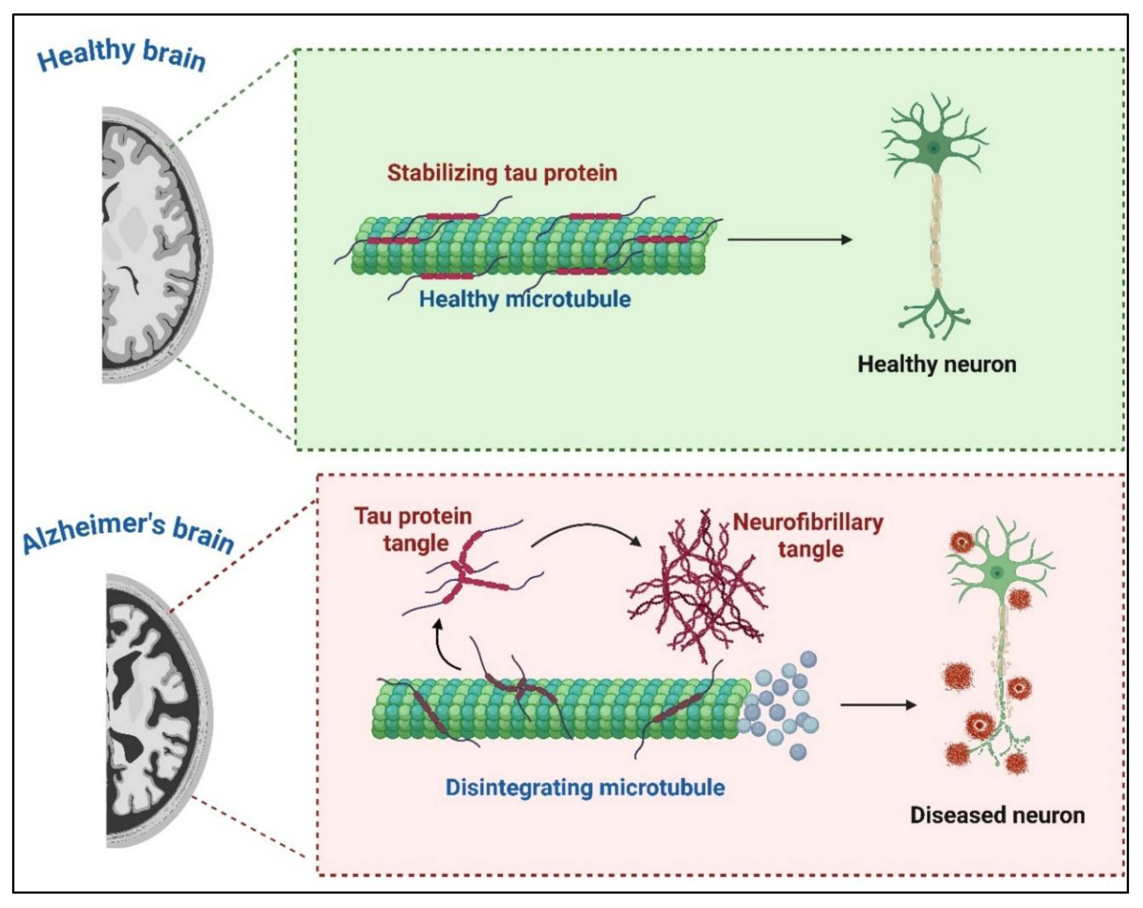 Preprints 182355 g001