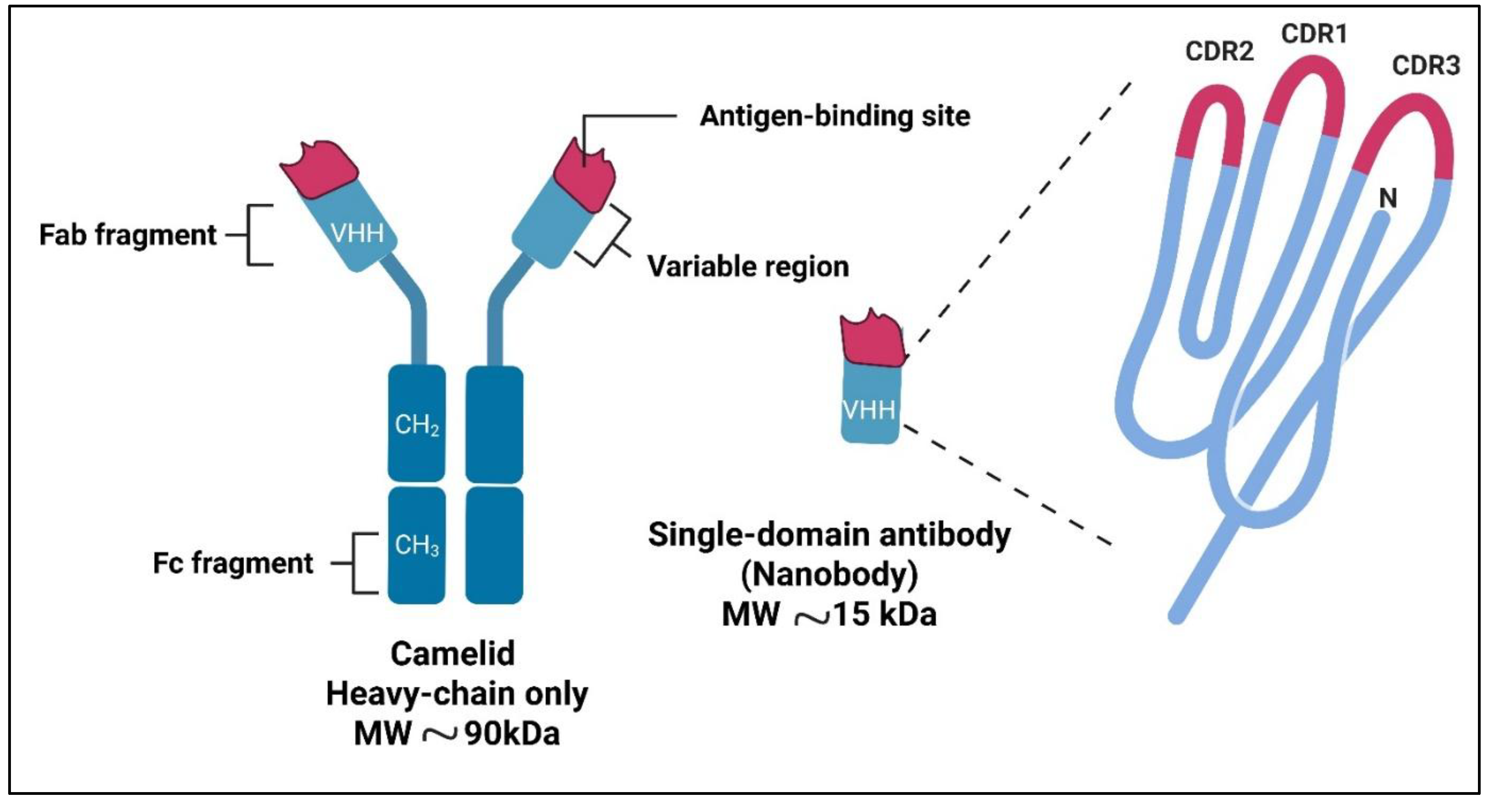 Preprints 182355 g002