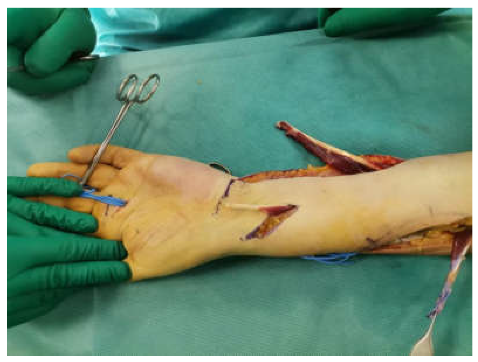 Preprints 108991 g001