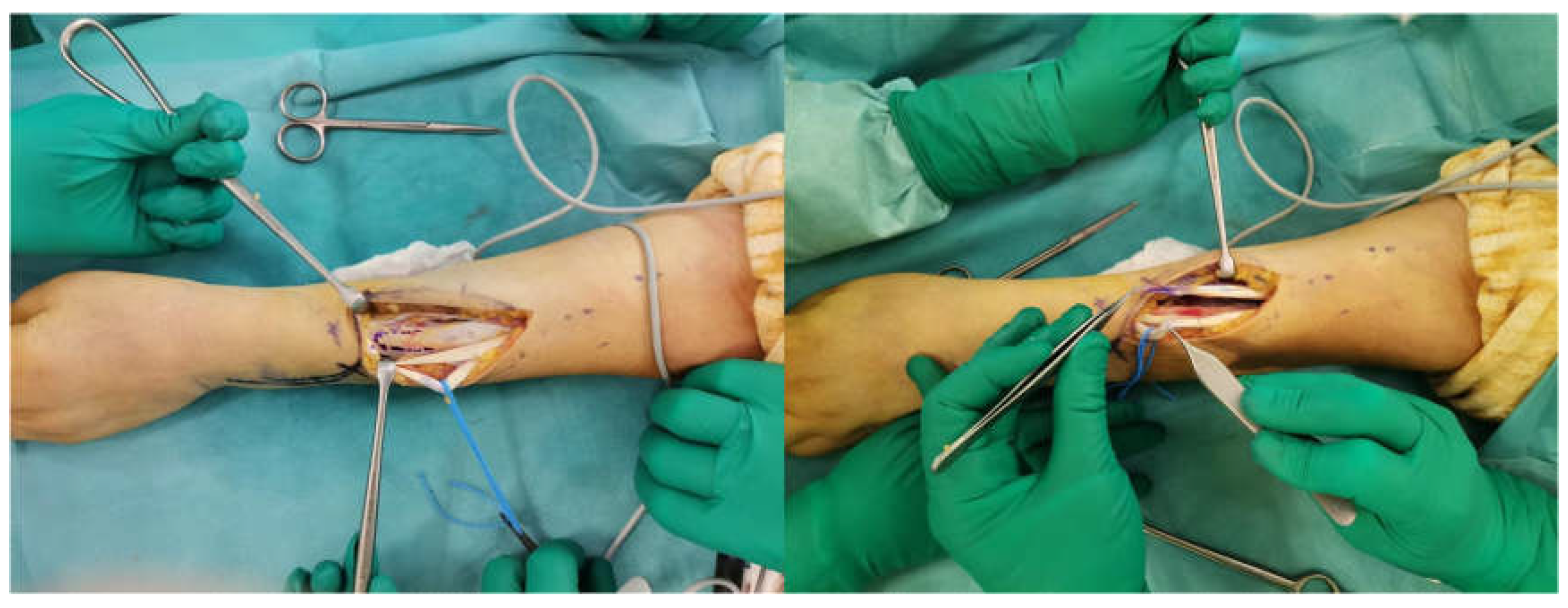 Preprints 108991 g002