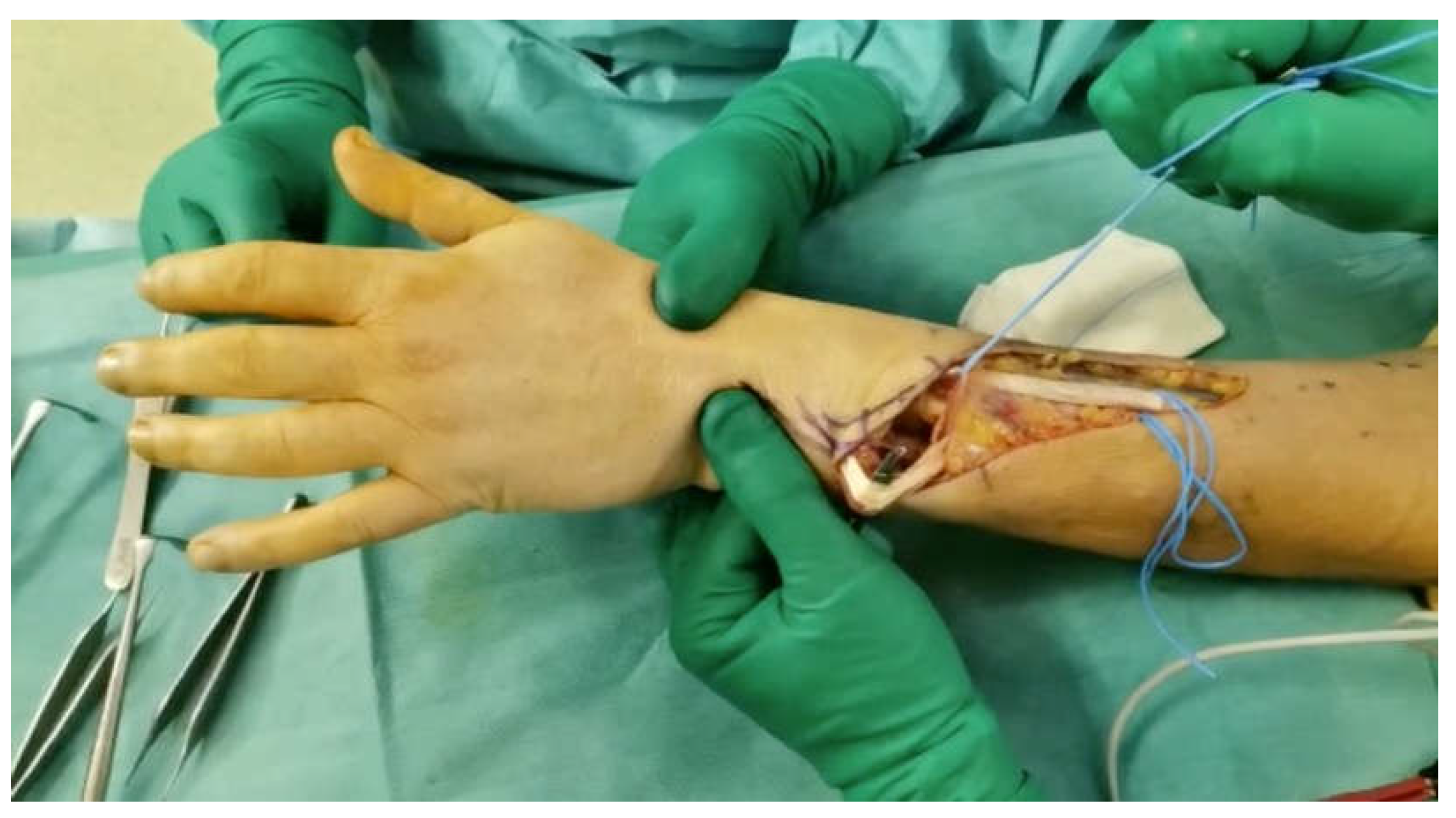 Preprints 108991 g003