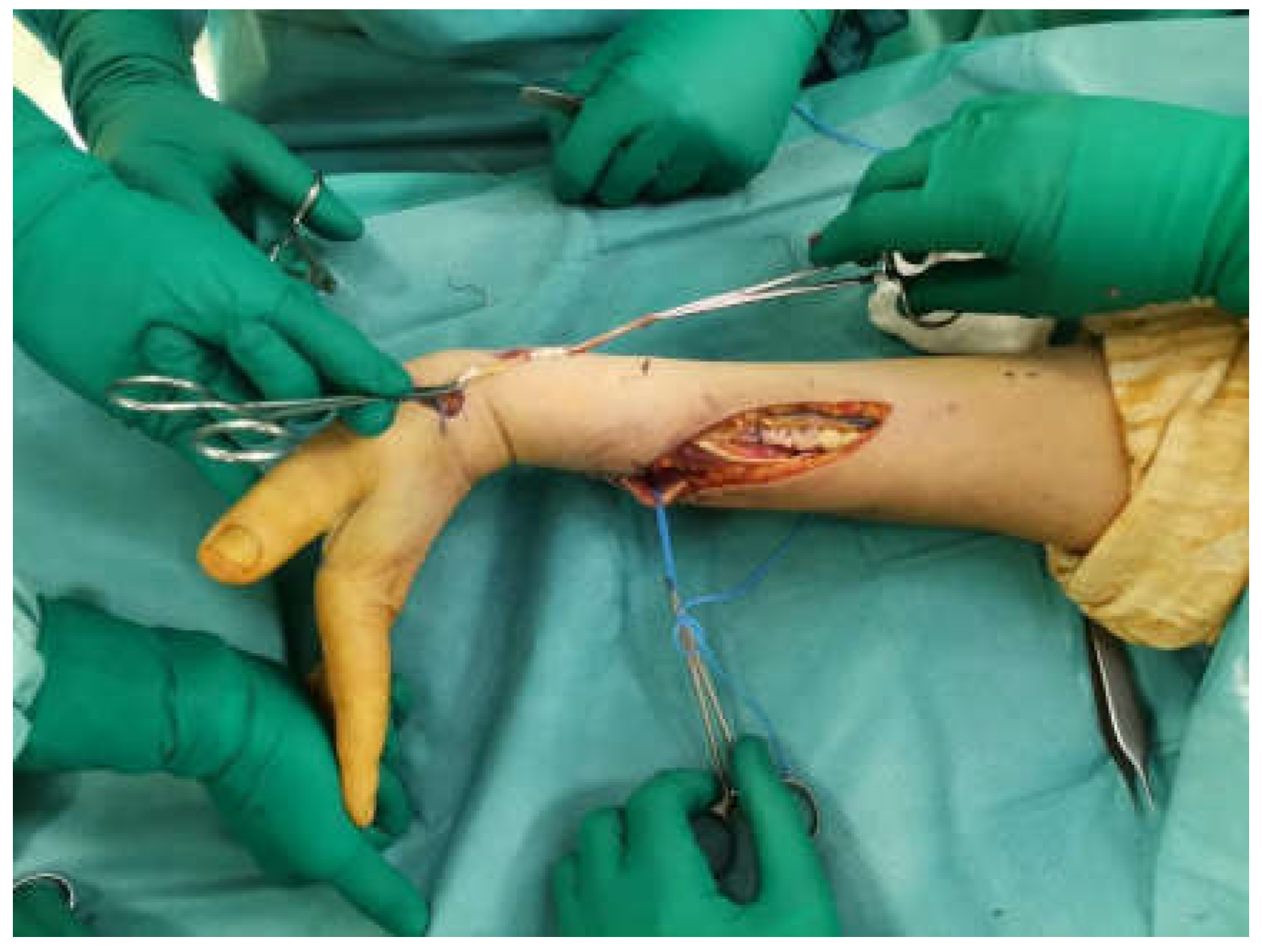 Preprints 108991 g004