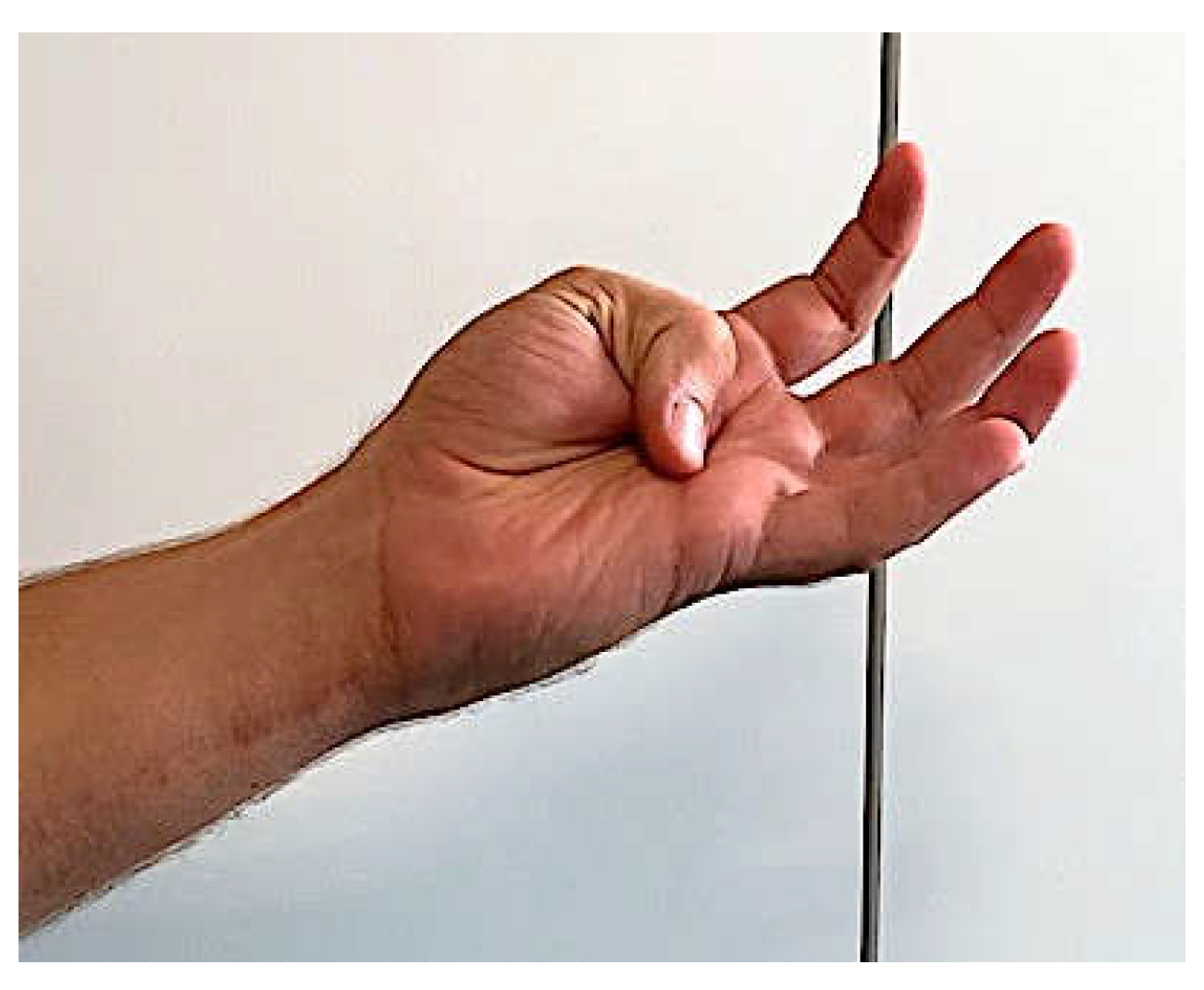 Preprints 108991 g006