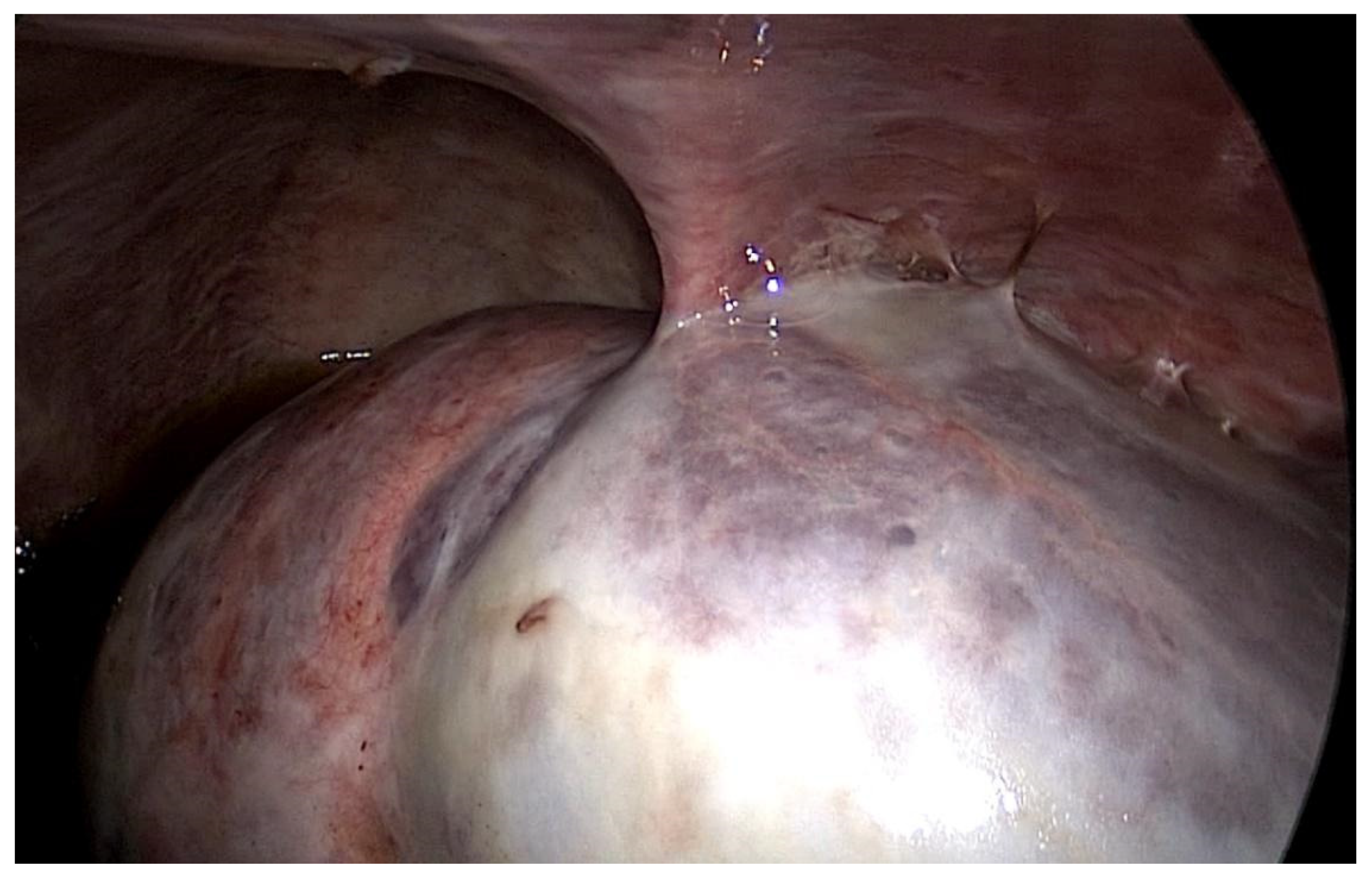 Preprints 102954 g001