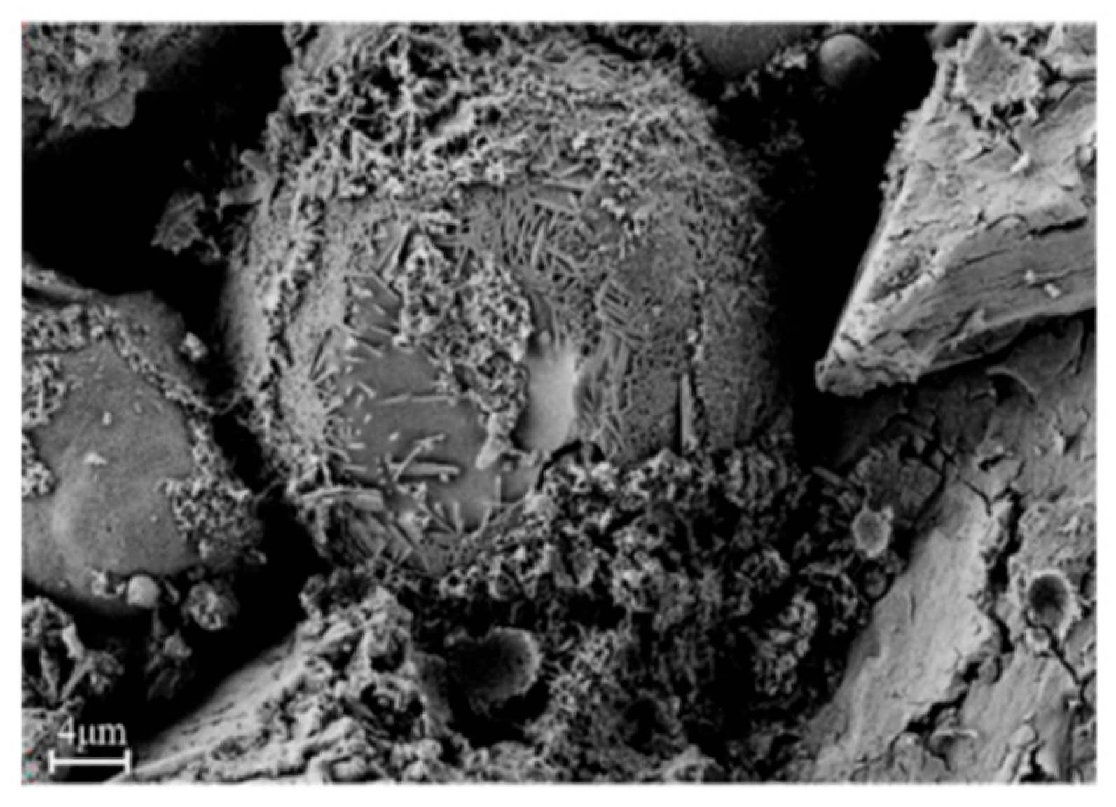 Preprints 173948 g007