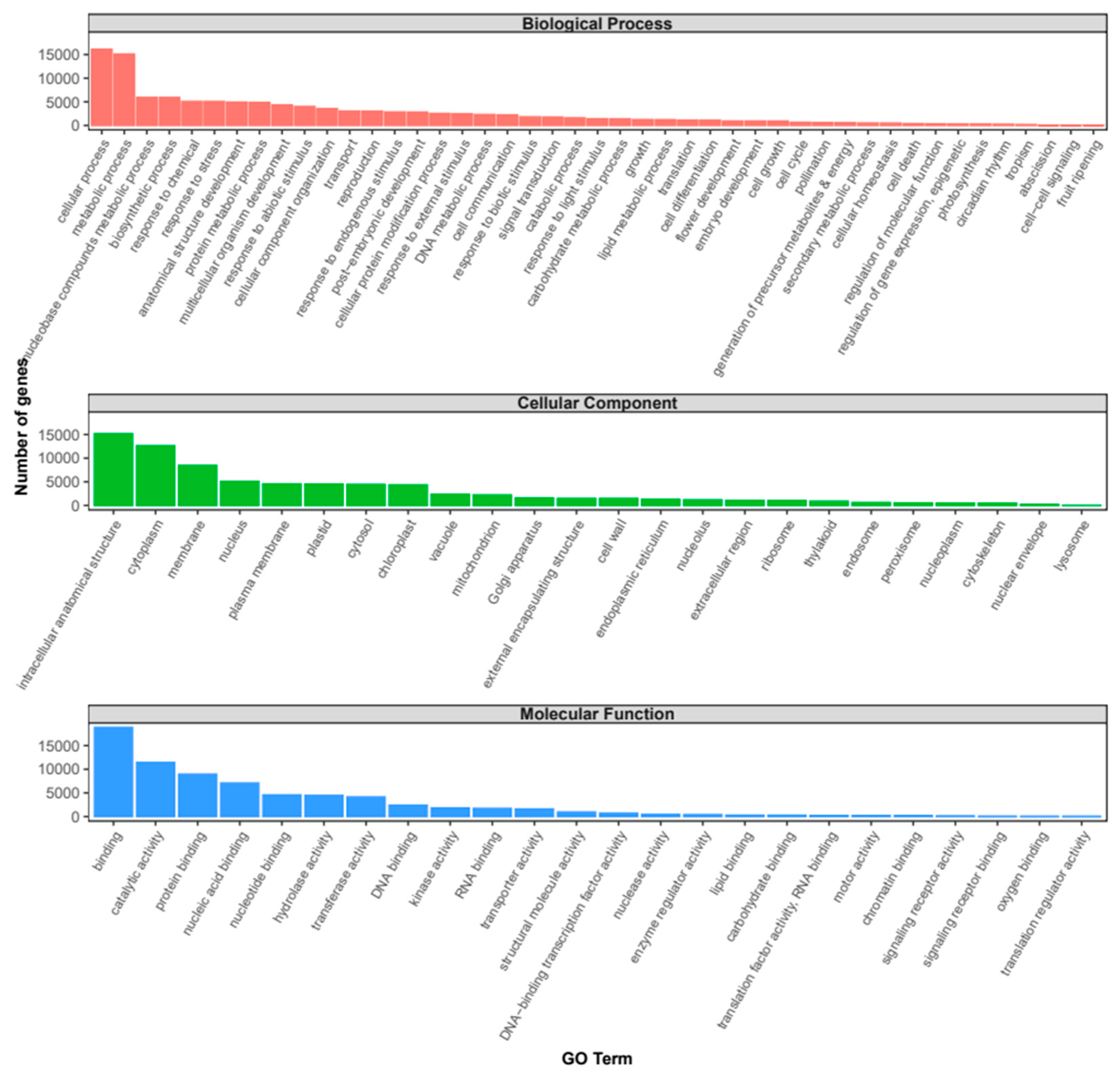 Preprints 91916 g001