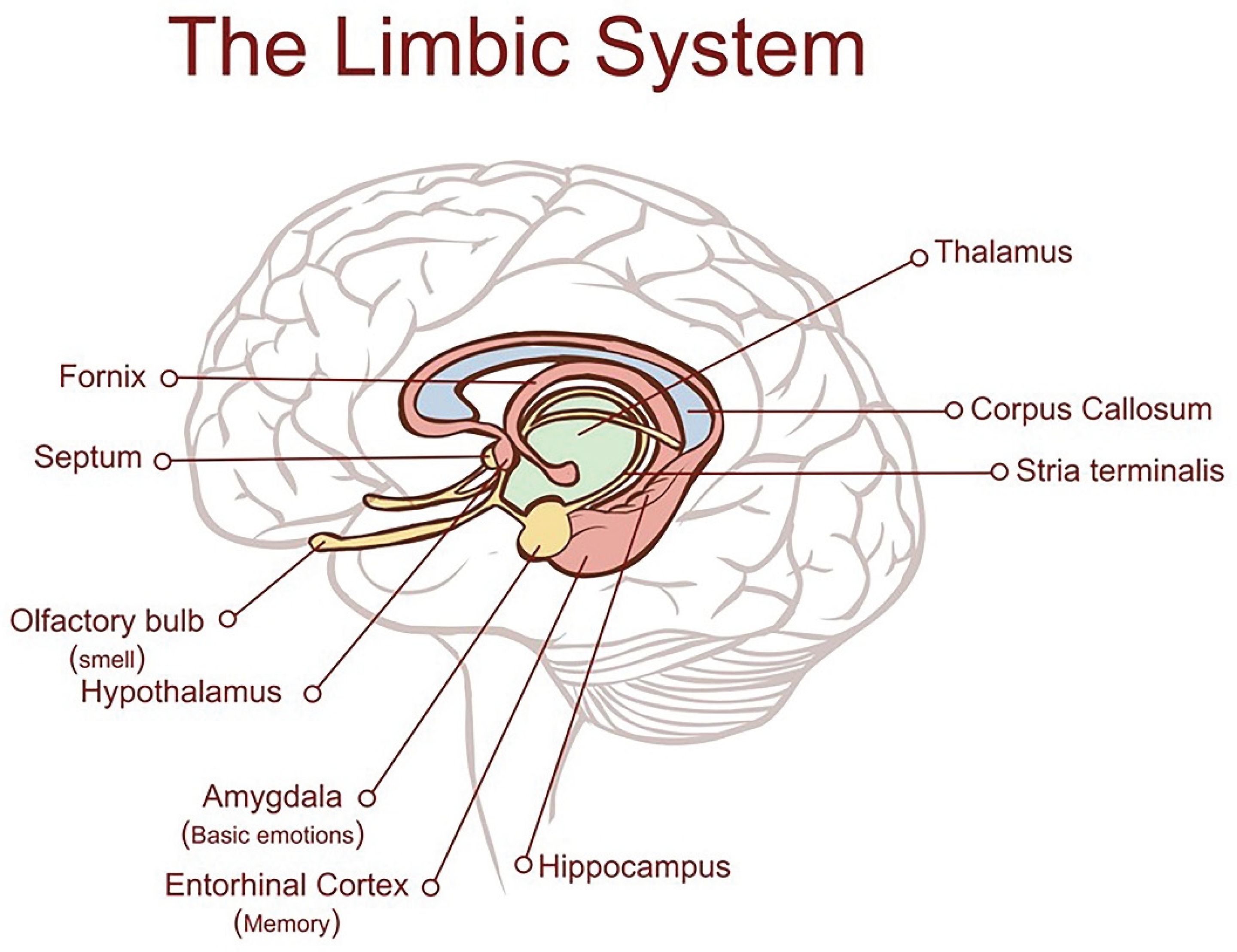 Preprints 164680 g001