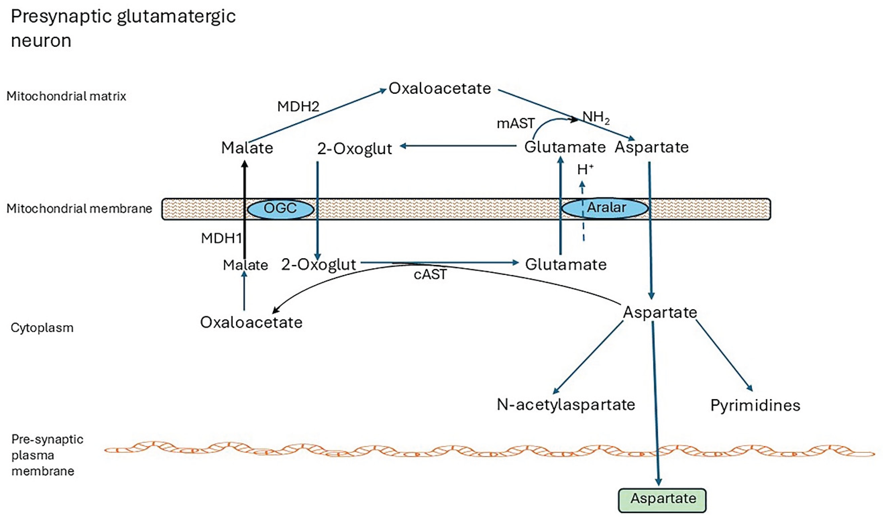 Preprints 164680 g002