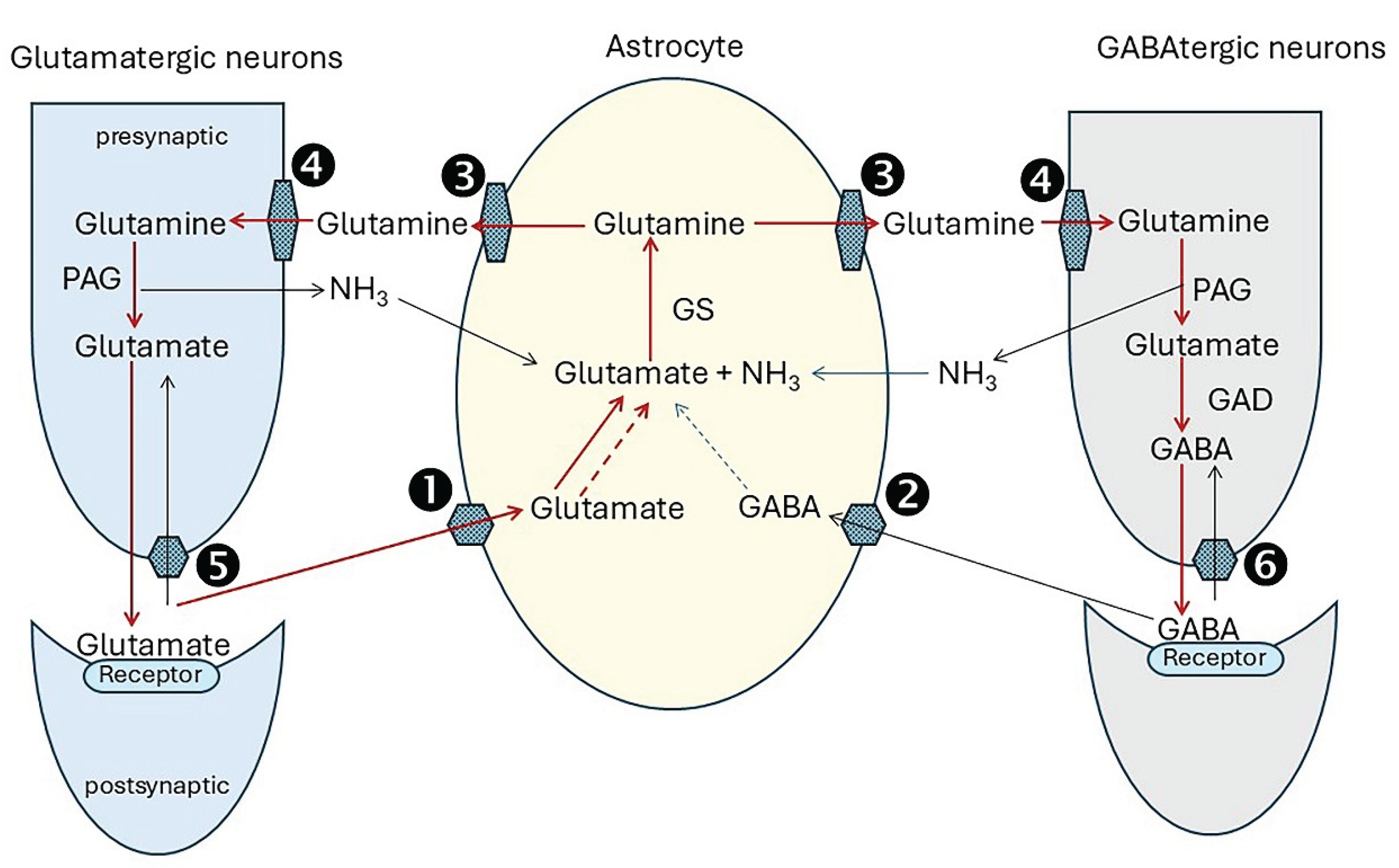 Preprints 164680 g003