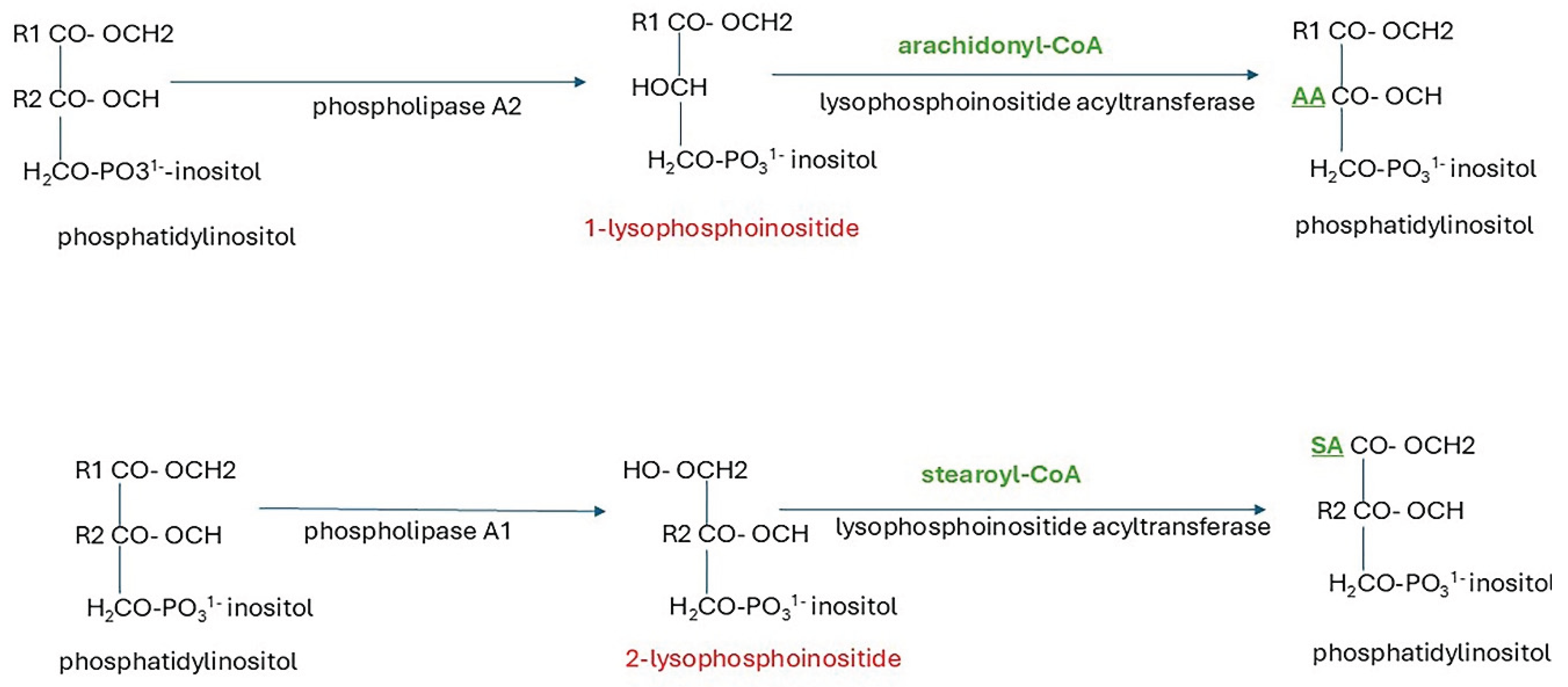 Preprints 164680 g006