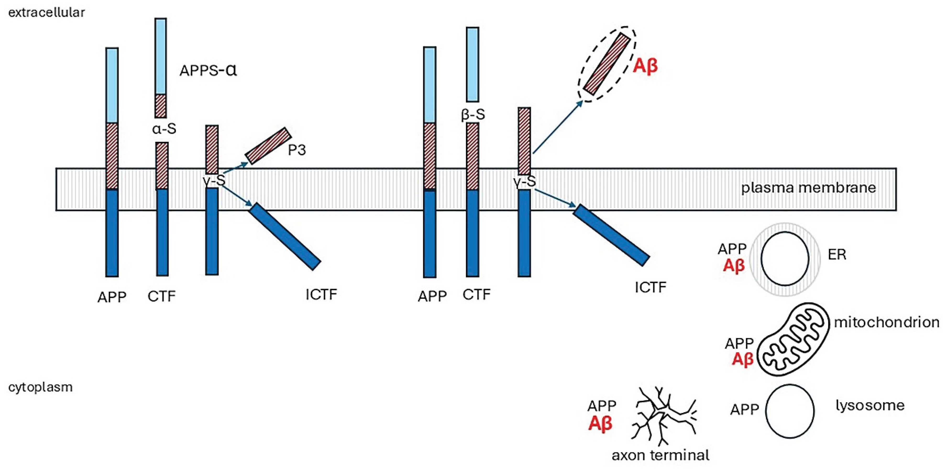 Preprints 164680 g007