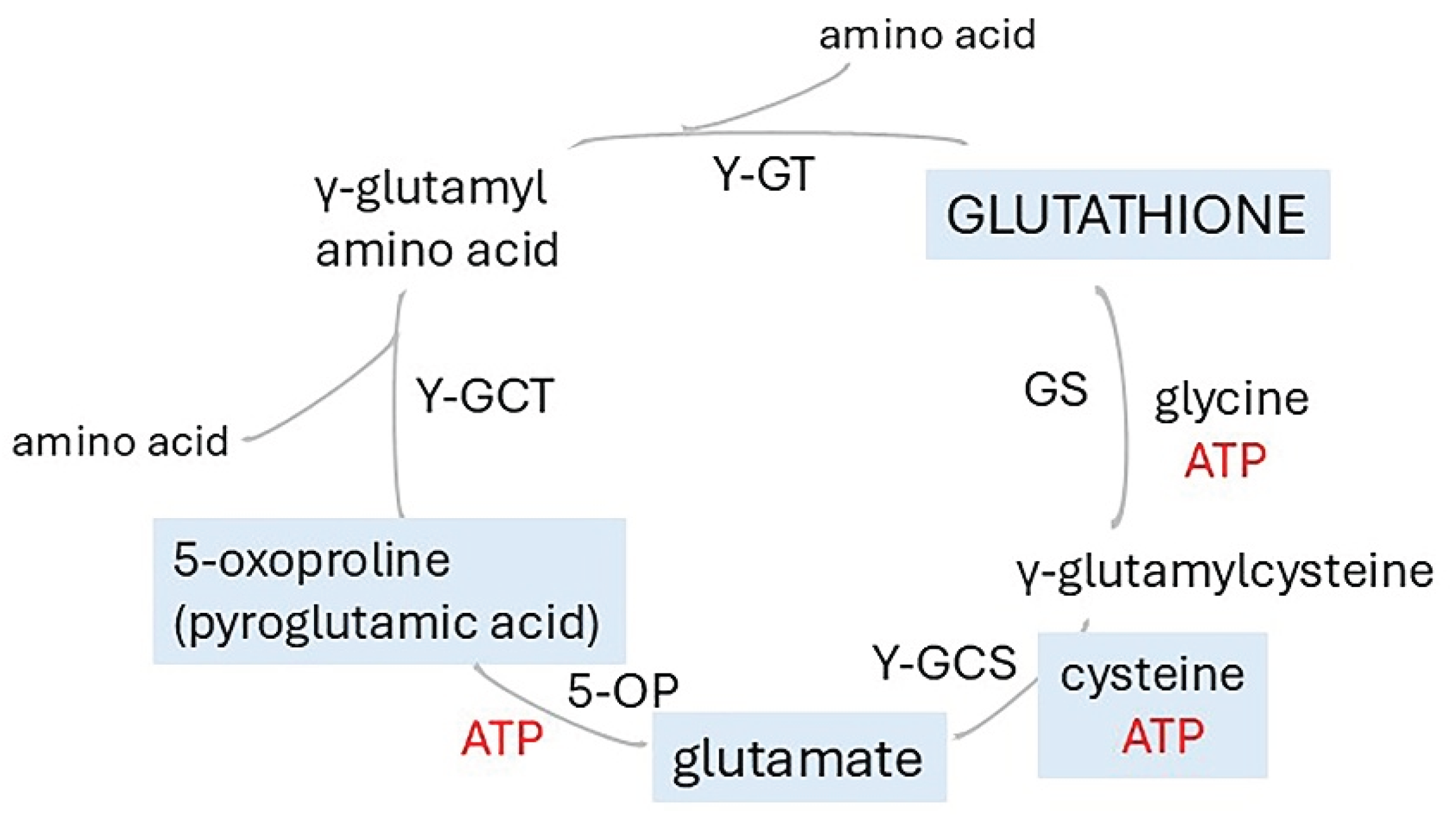Preprints 164680 g008