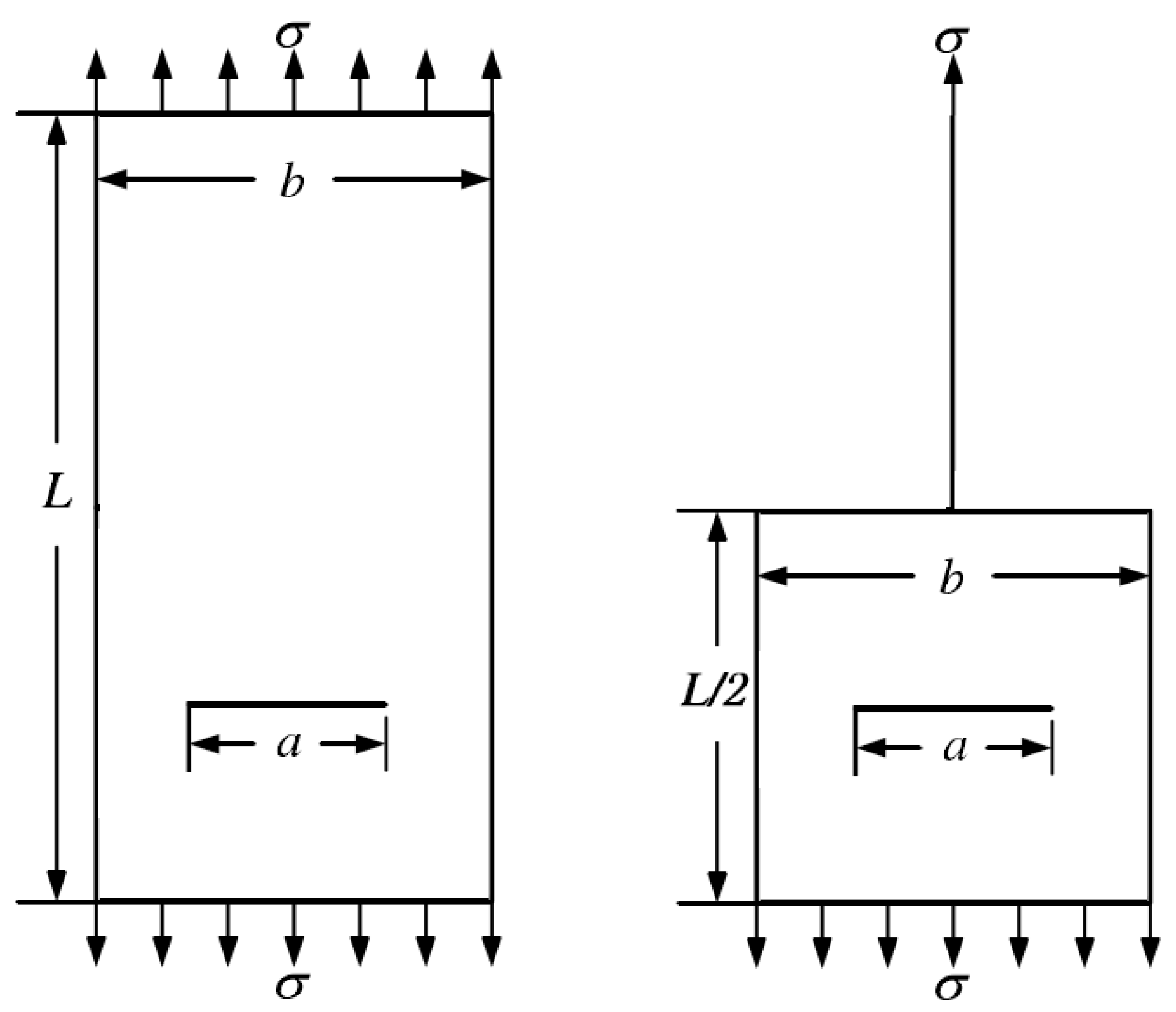 Preprints 70957 g006