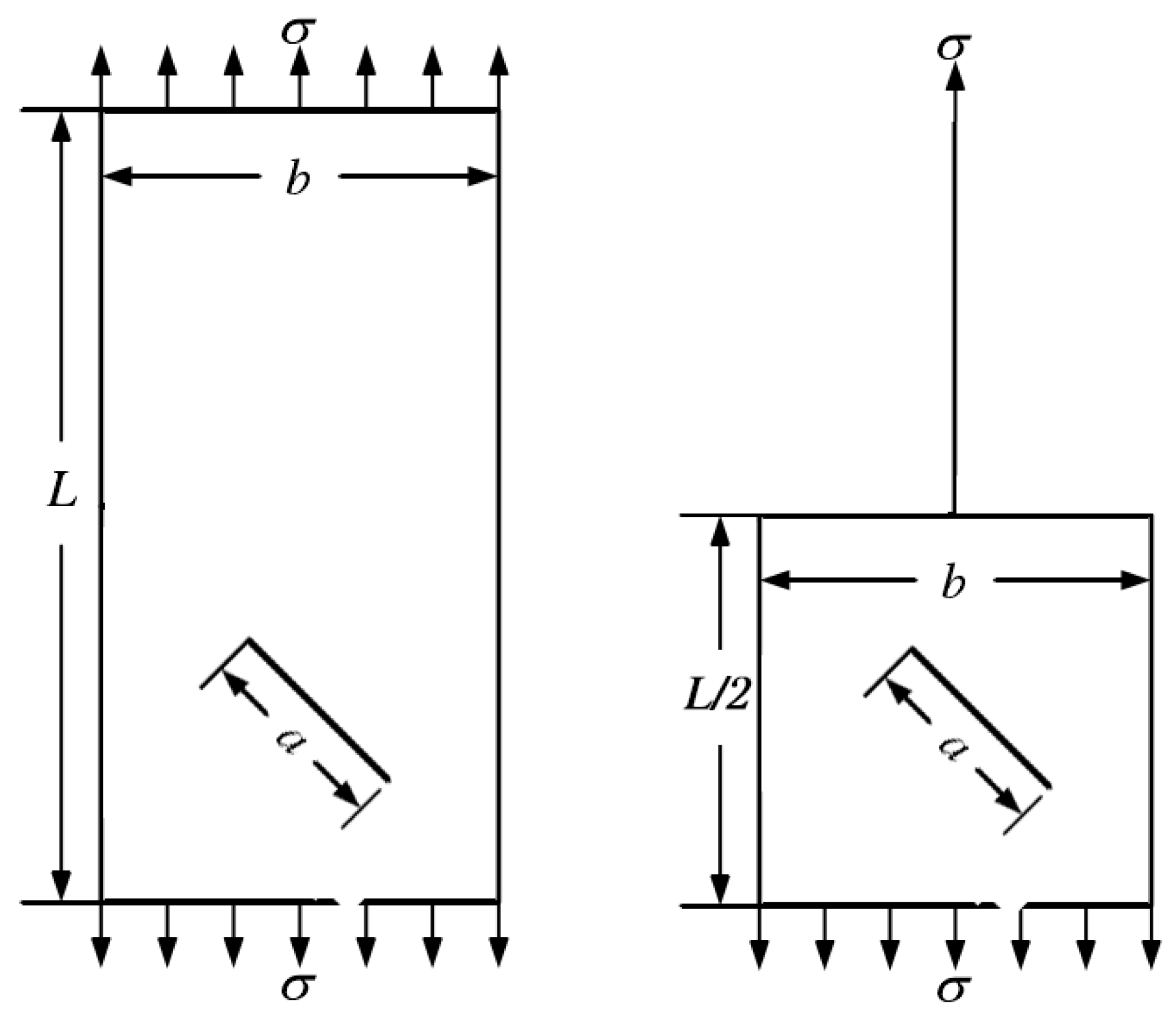 Preprints 70957 g007