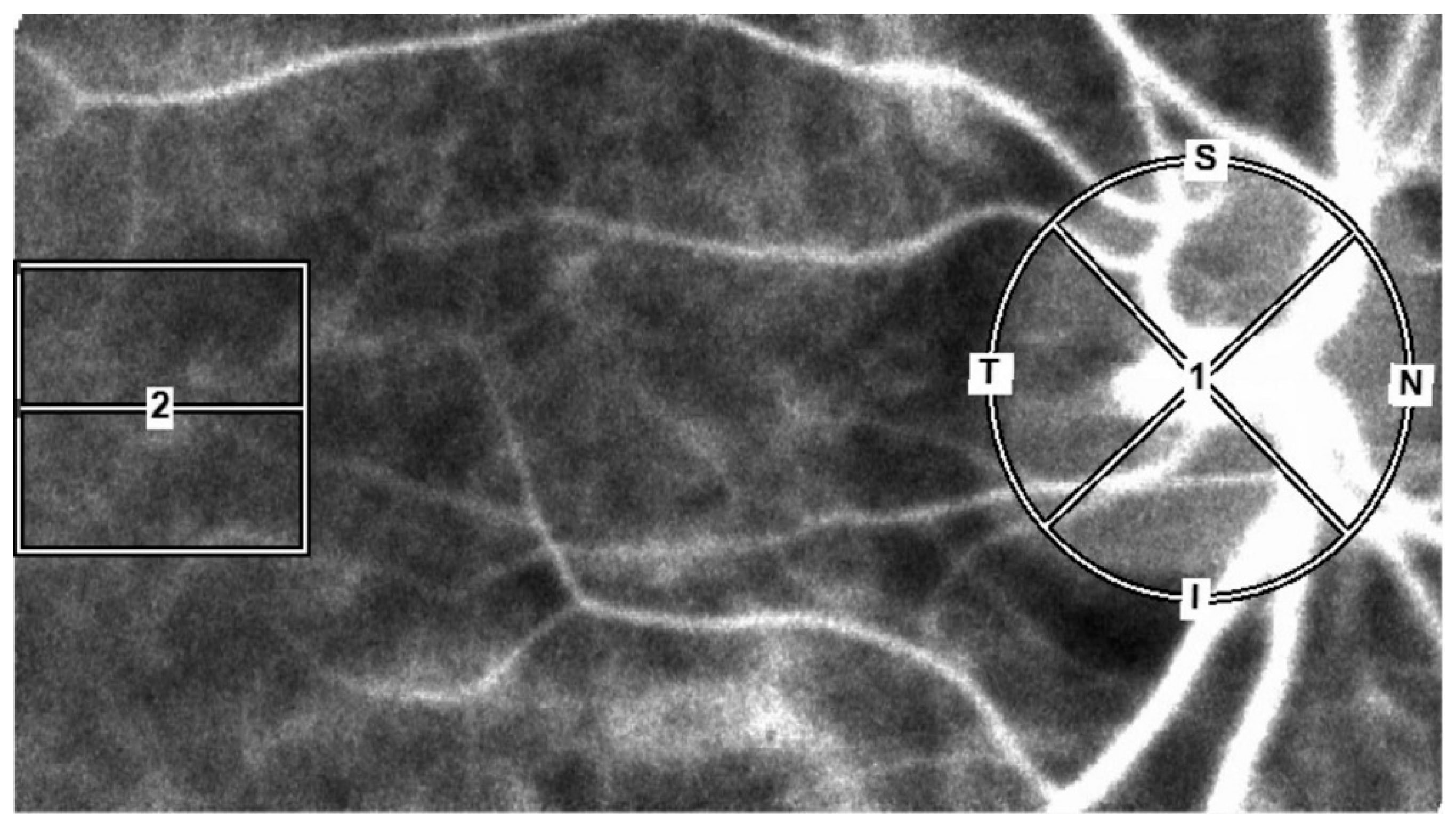 Preprints 163609 g001