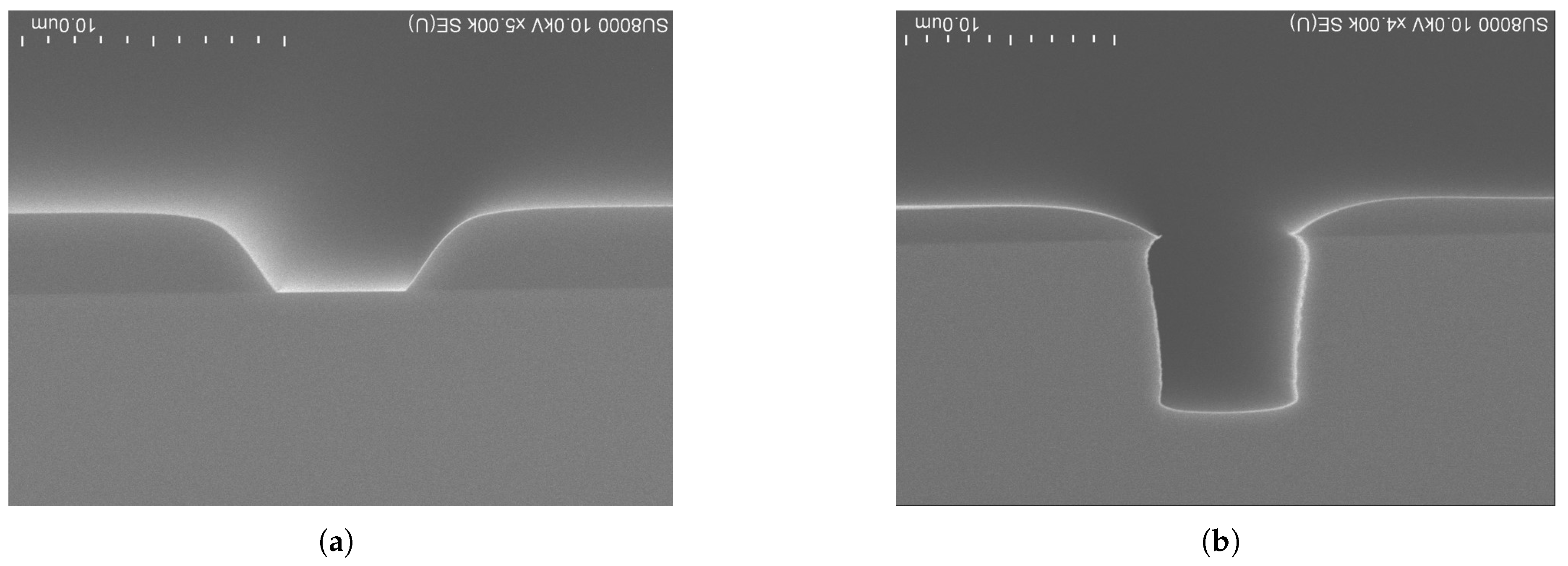 Preprints 181682 g001