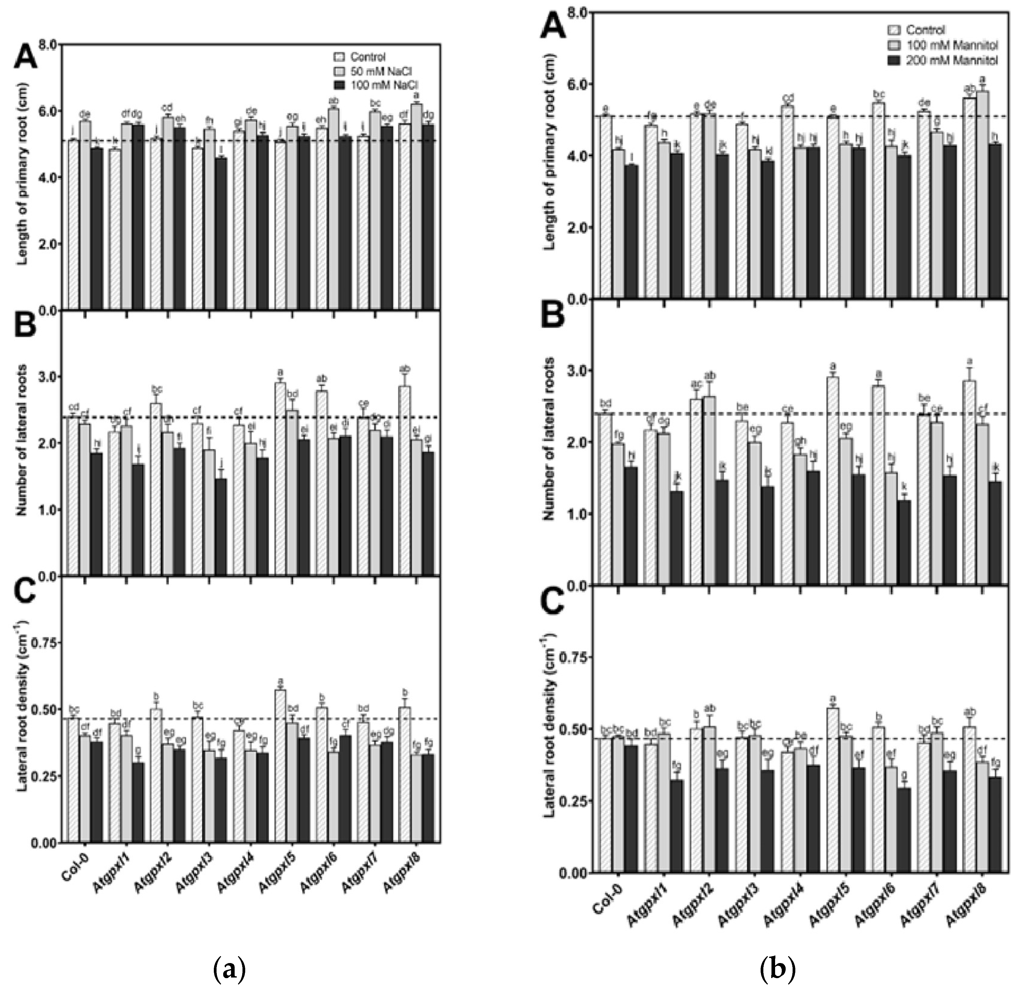 Preprints 150858 g002