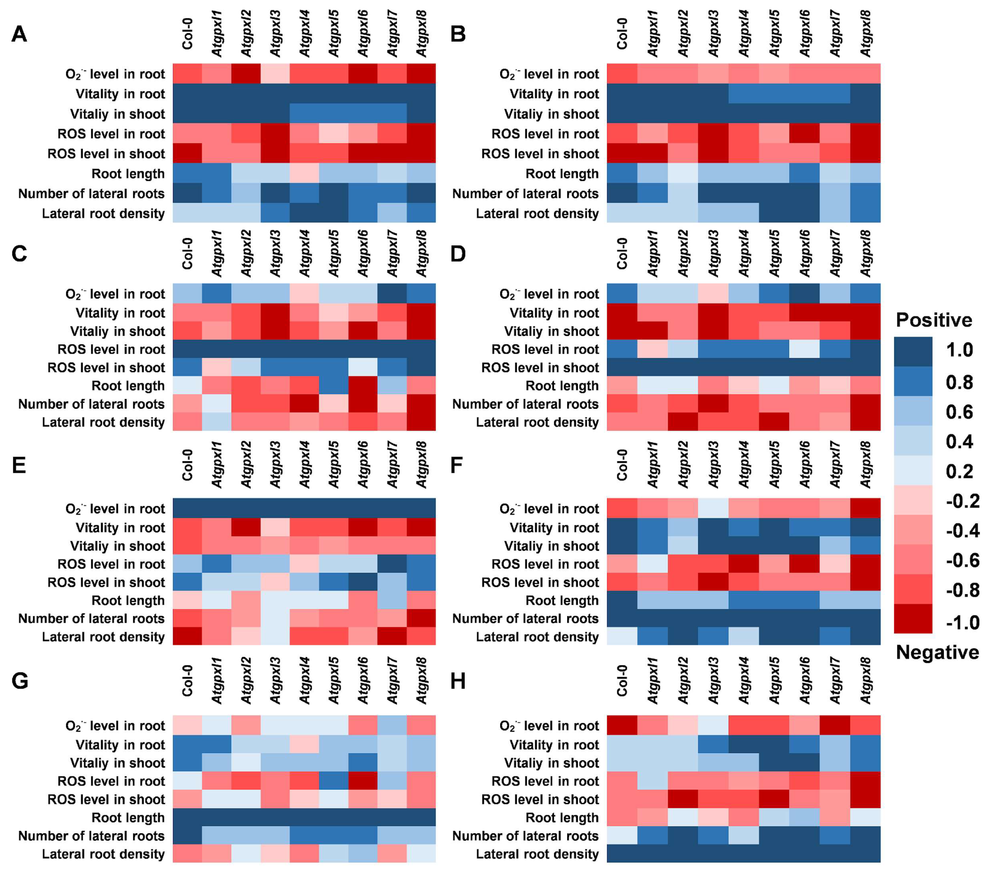 Preprints 150858 g008