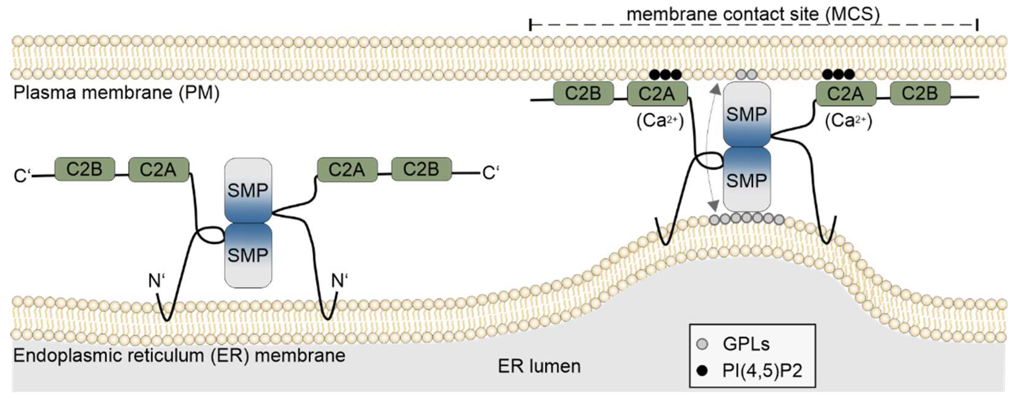 Preprints 150900 g001