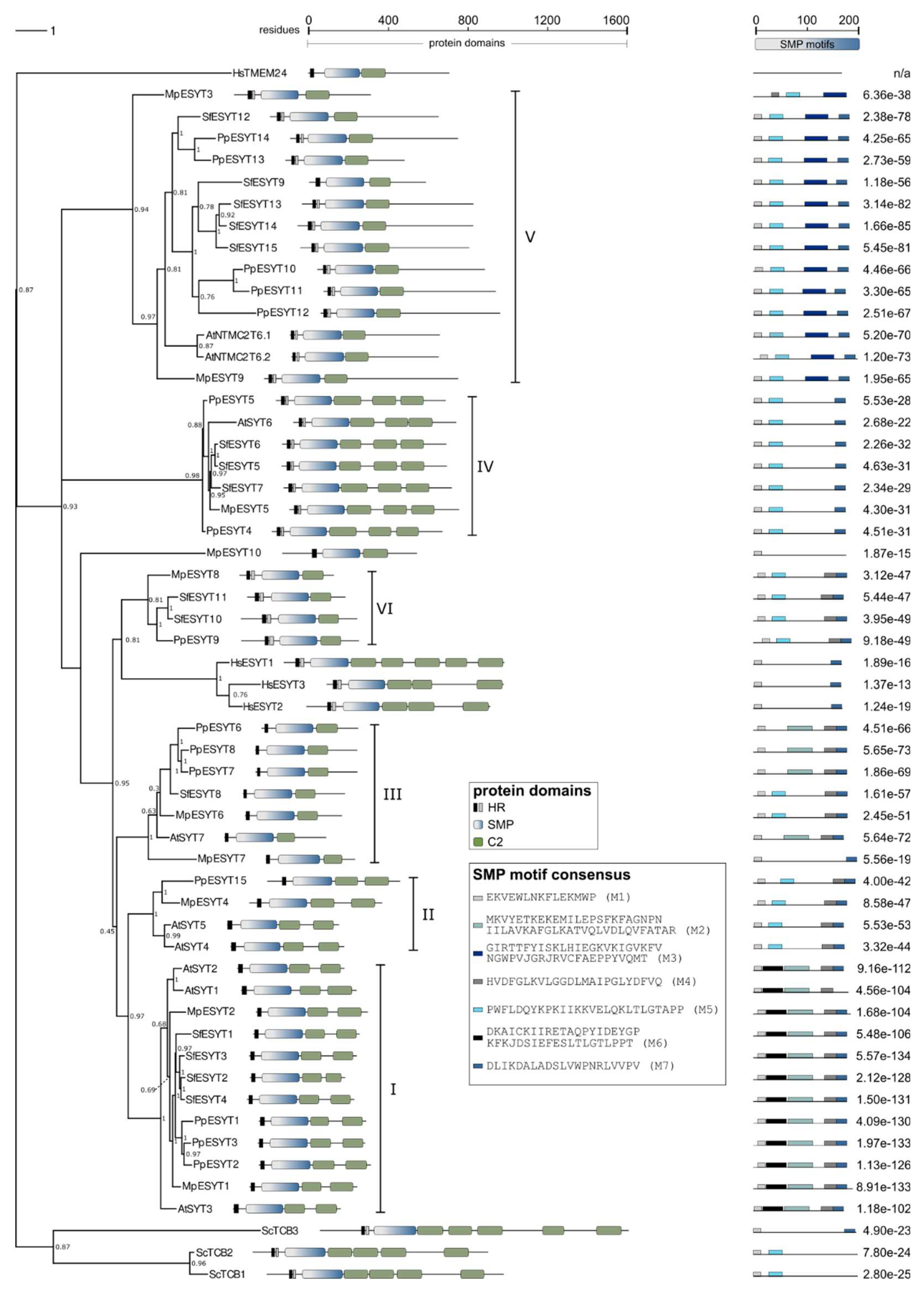 Preprints 150900 g003