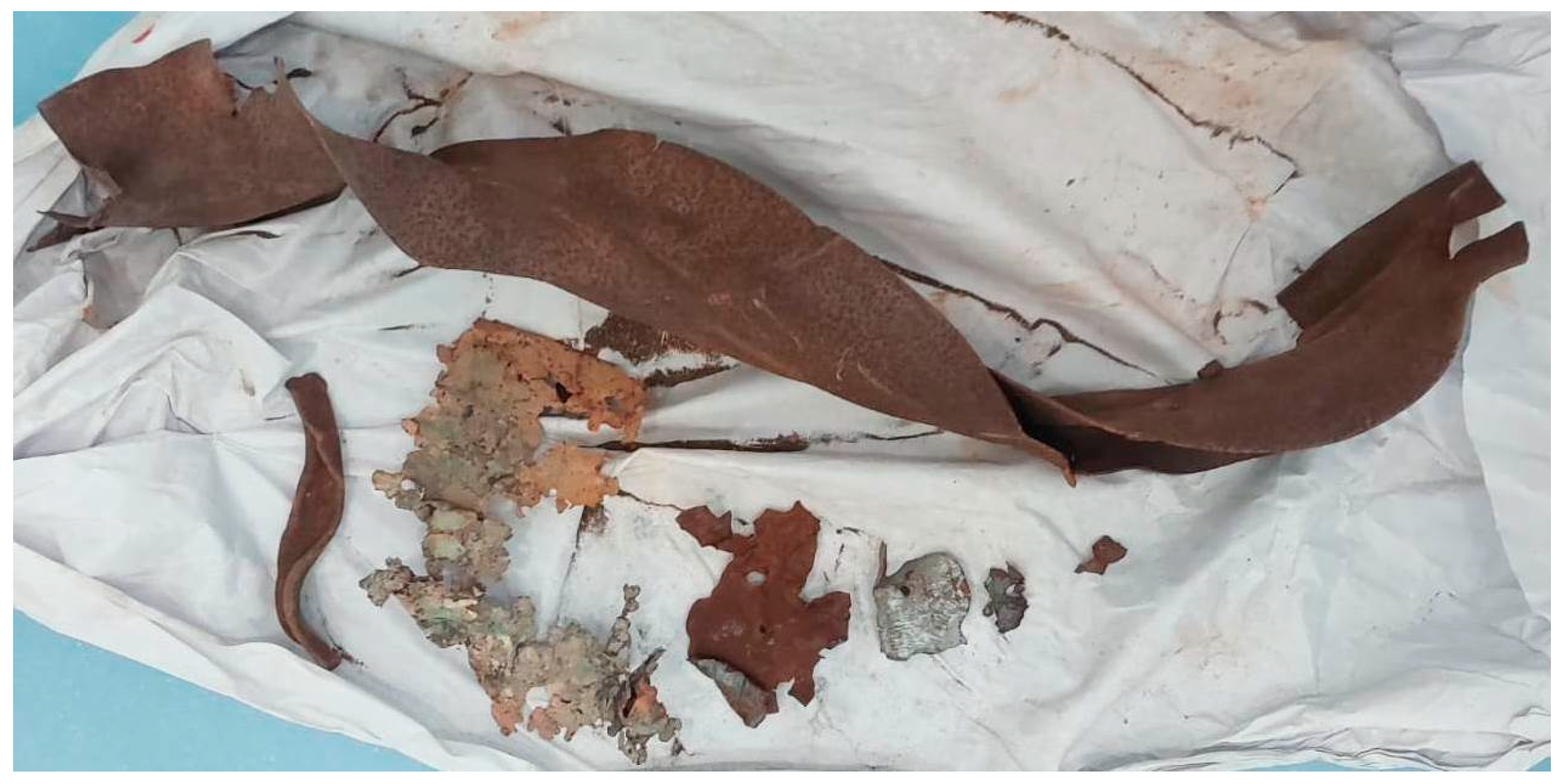 Preprints 182291 g001