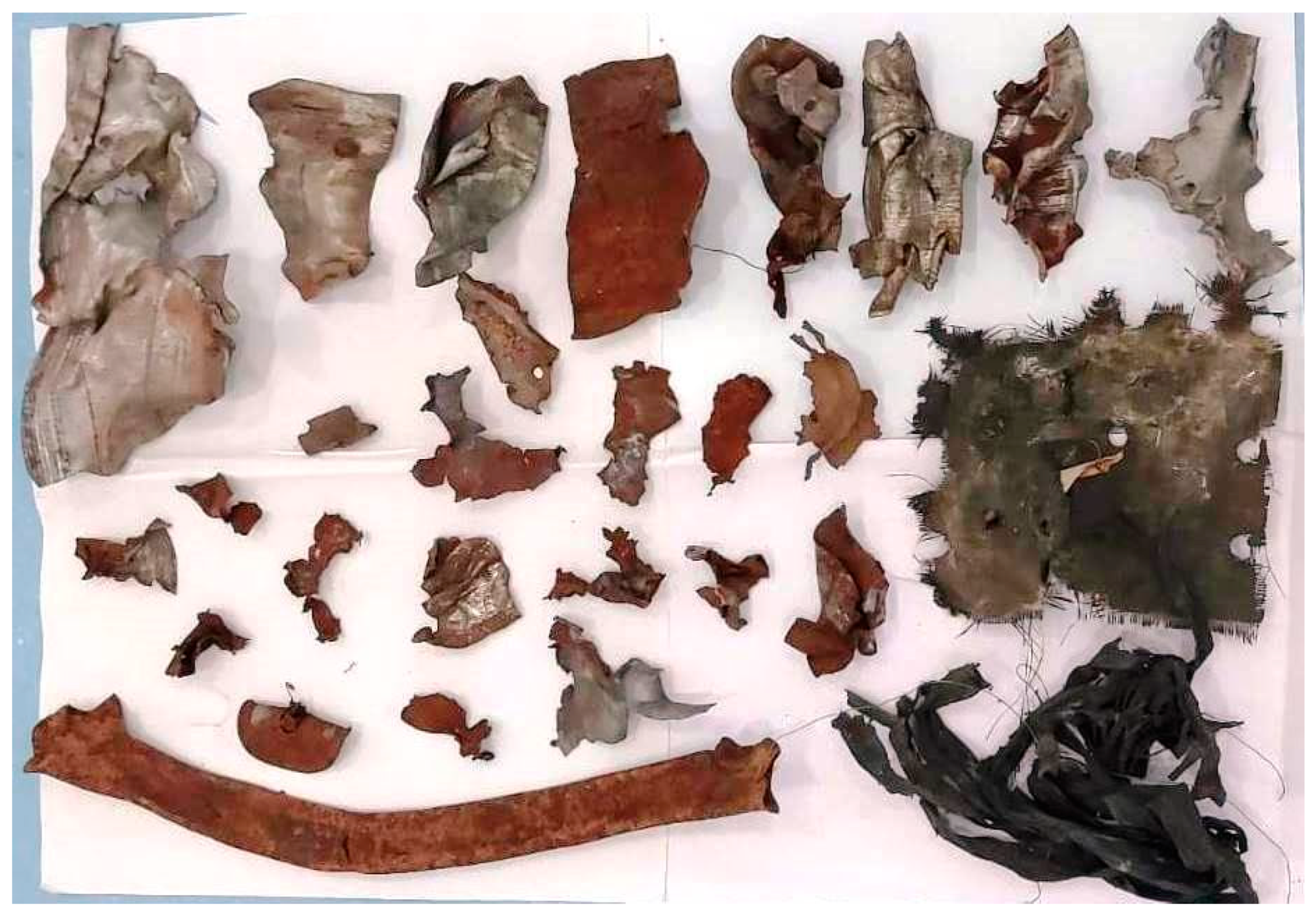 Preprints 182291 g003