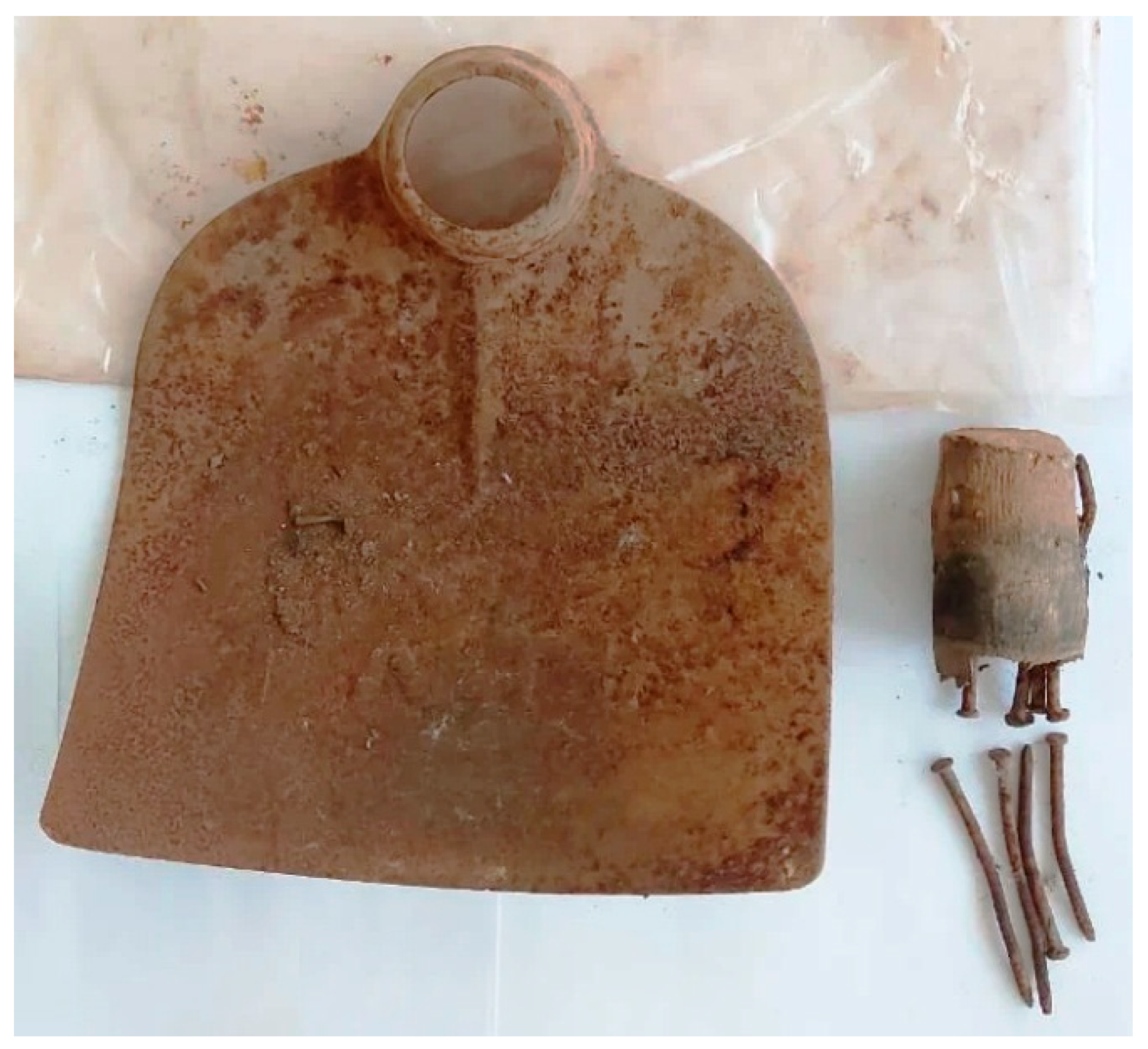 Preprints 182291 g004