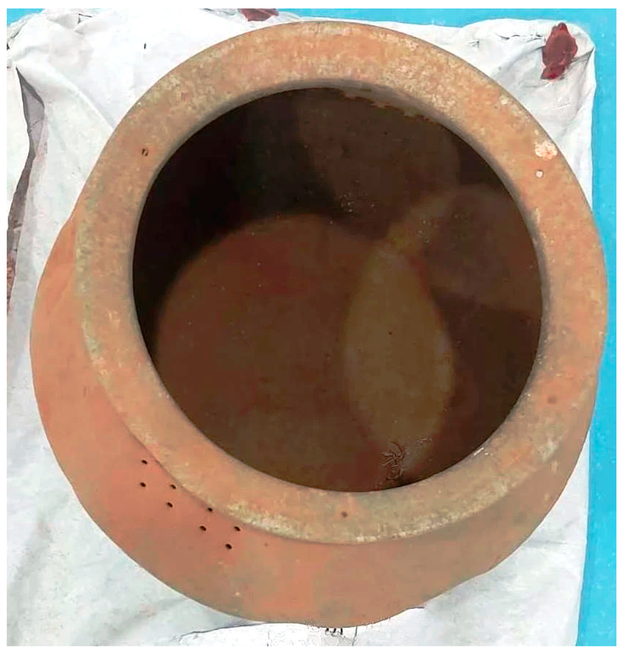 Preprints 182291 g005