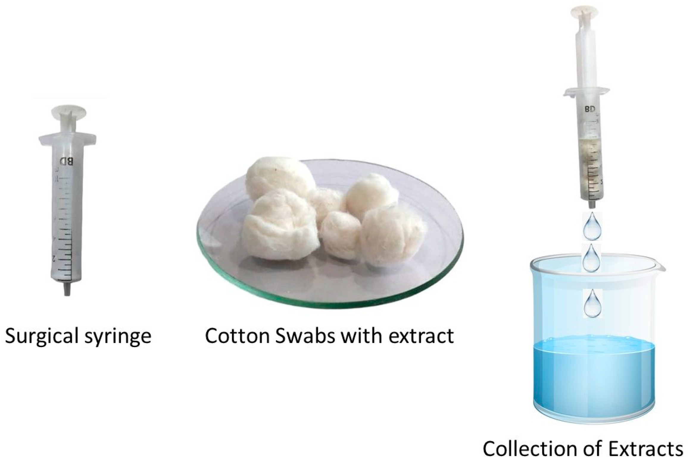 Preprints 182291 g007