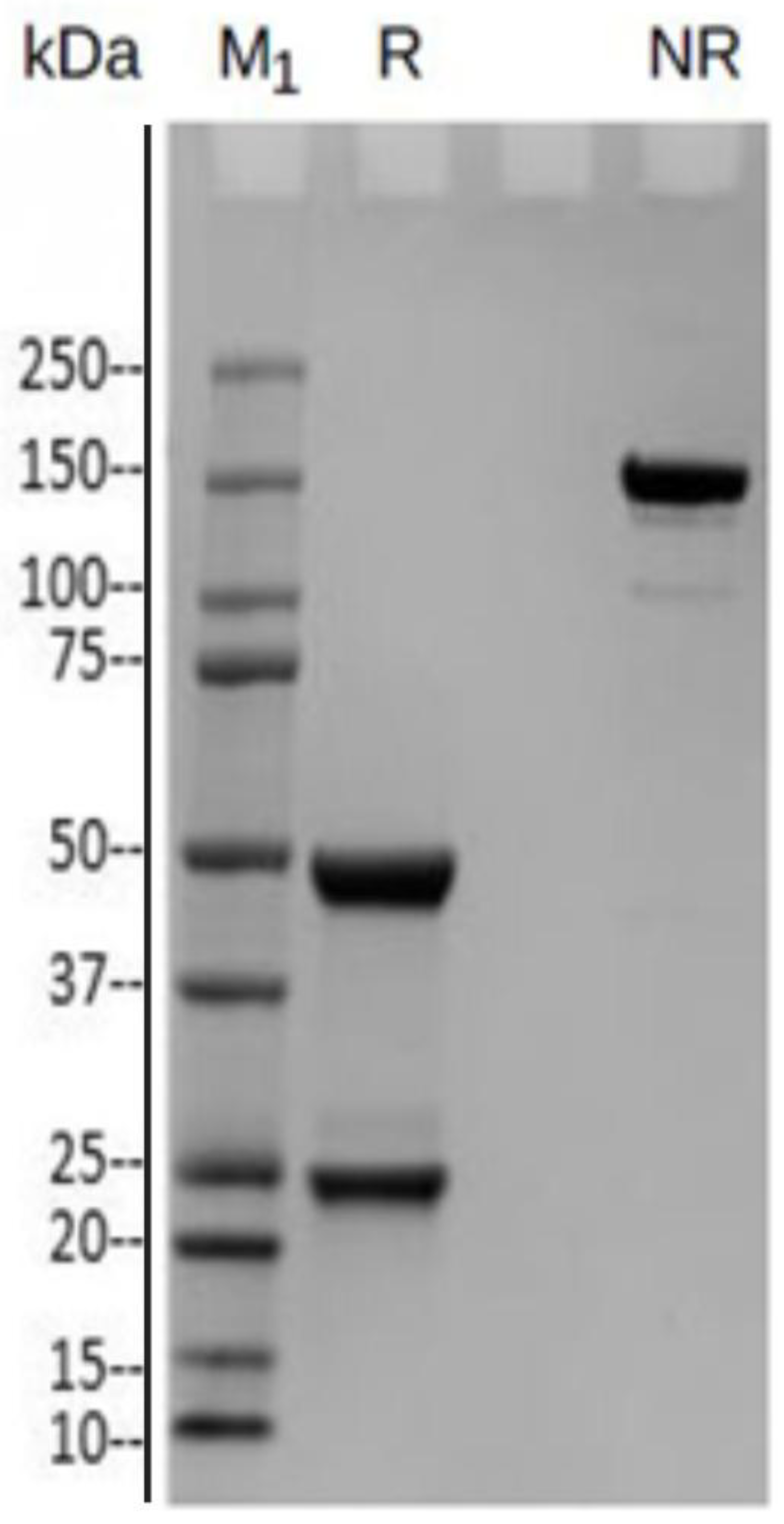 Preprints 179365 g002