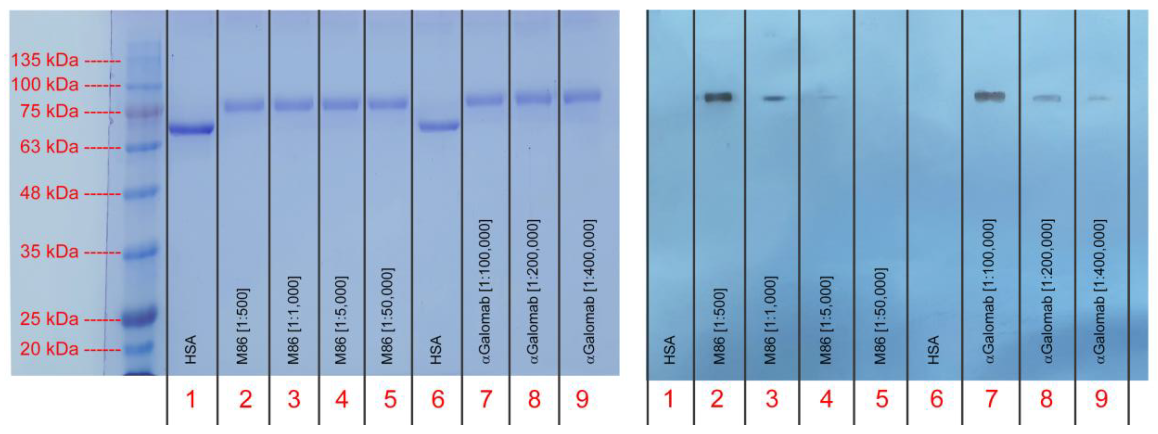 Preprints 179365 g006