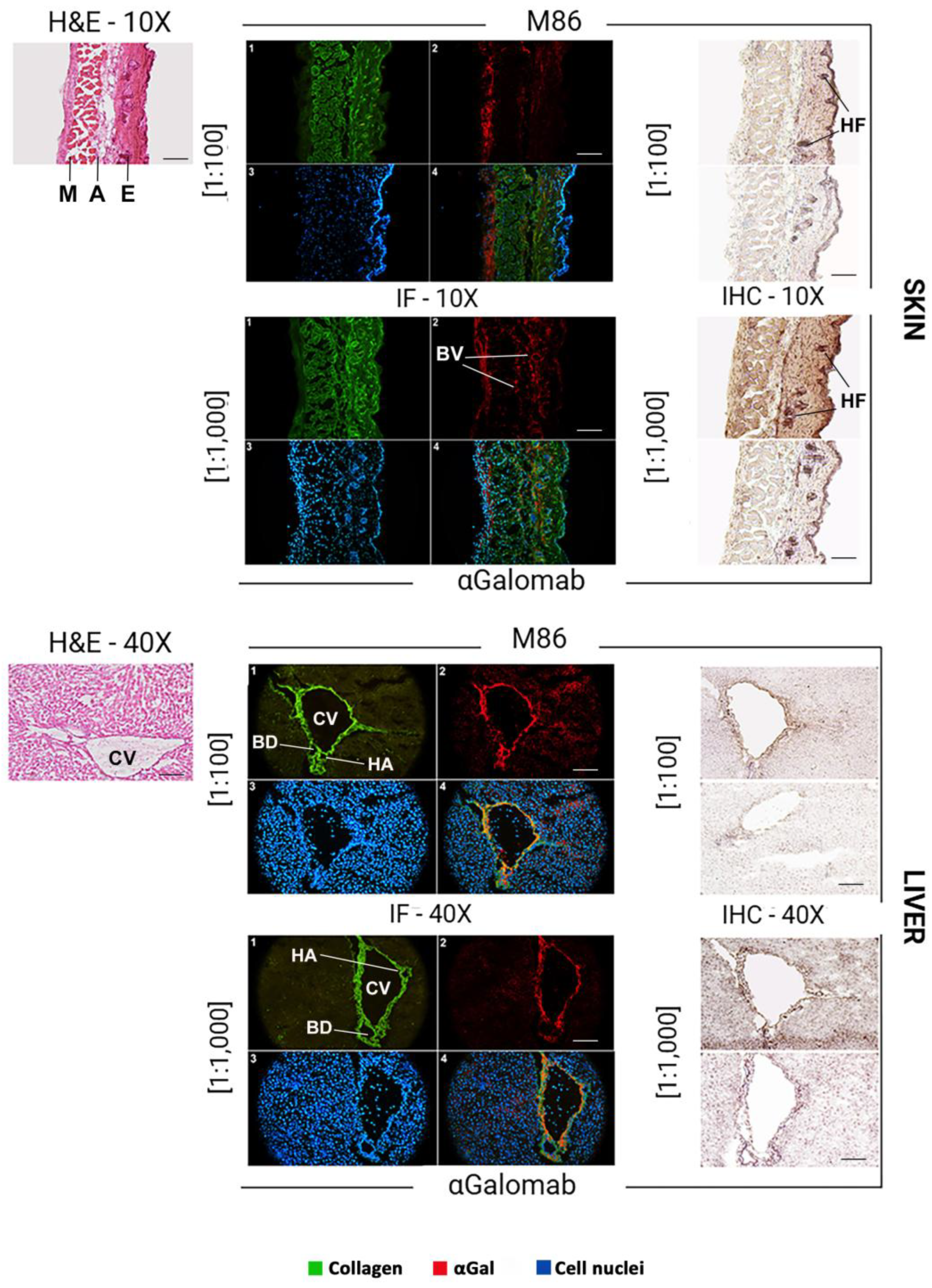 Preprints 179365 g008