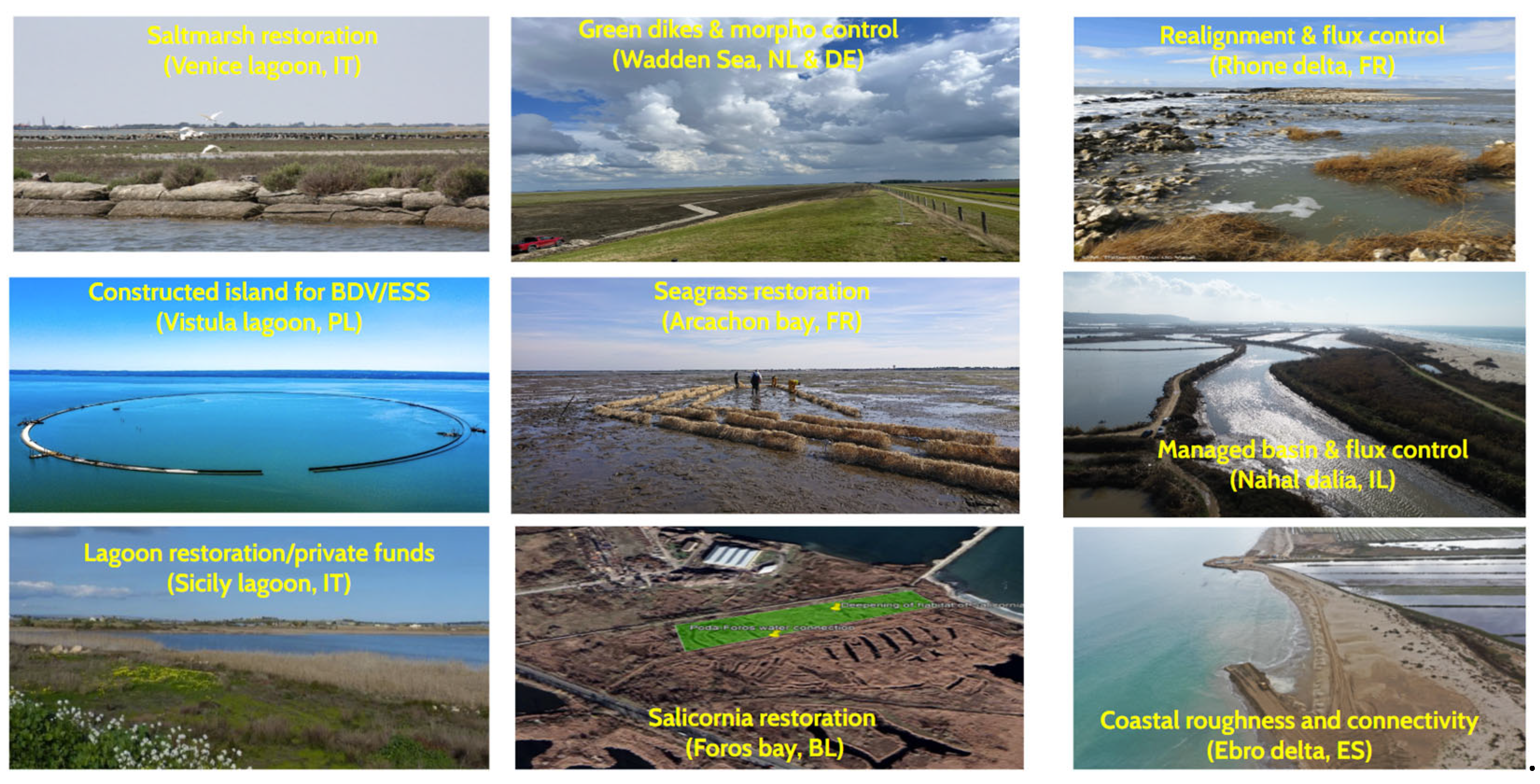 Preprints 176997 g001