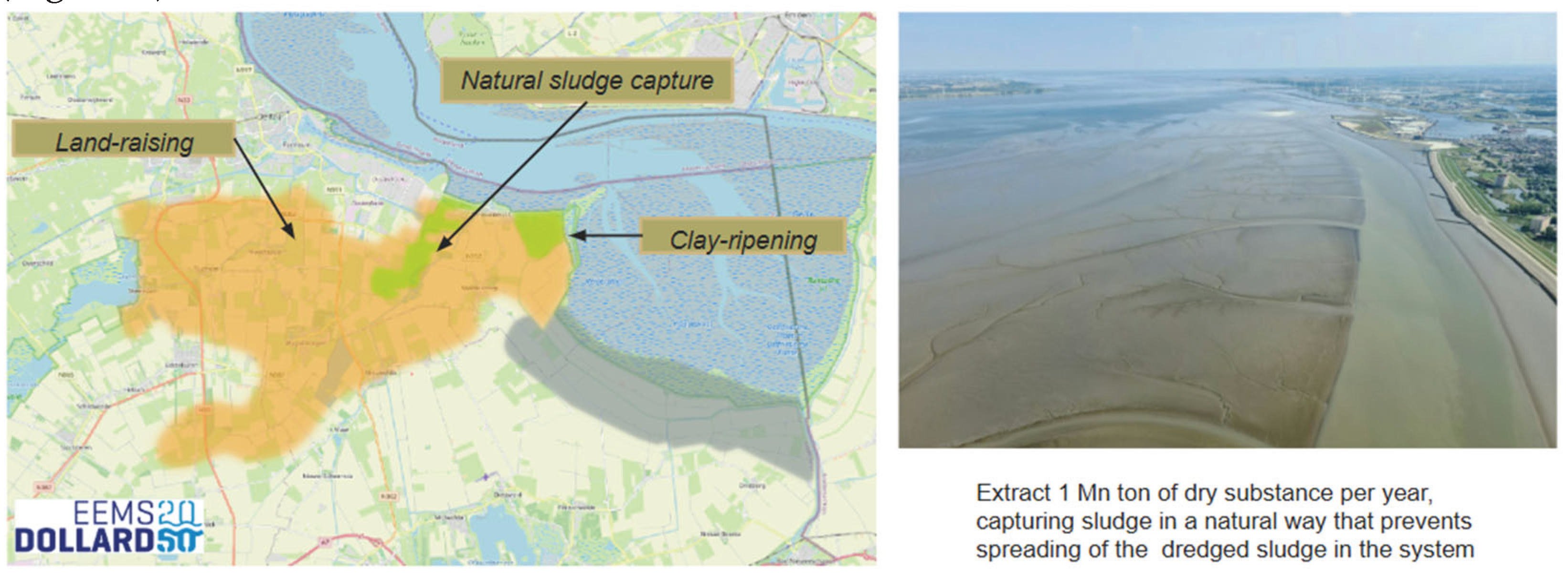 Preprints 176997 g005
